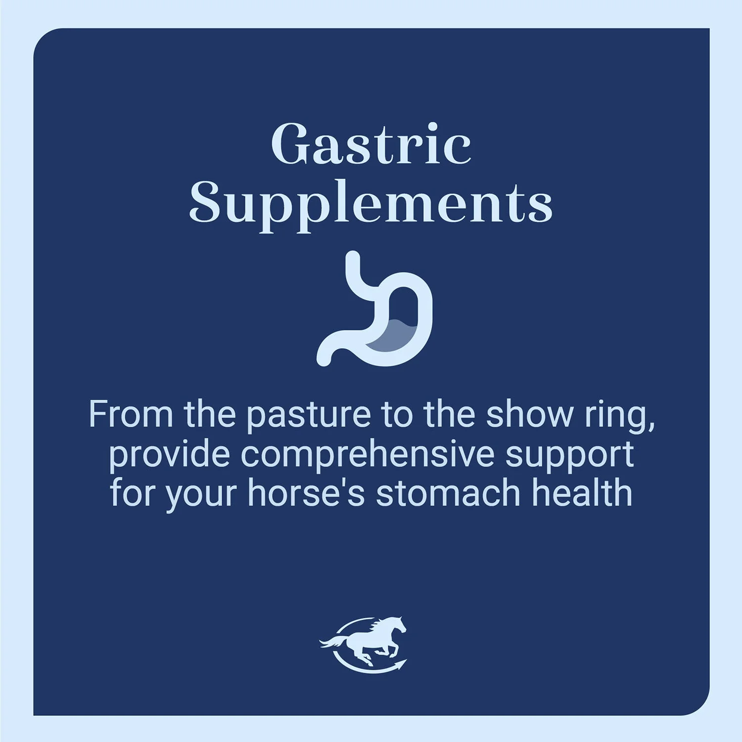 GUT, Digestive & Stomach Support Supplement for Horses, Pellets - Image 9