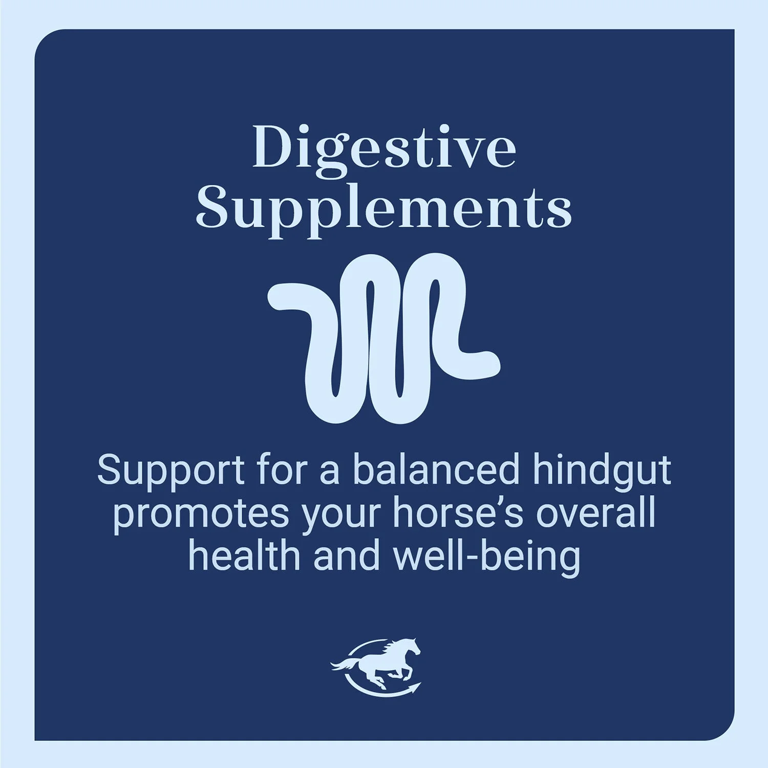 GUT, Digestive & Stomach Support Supplement for Horses, Powder - Image 5