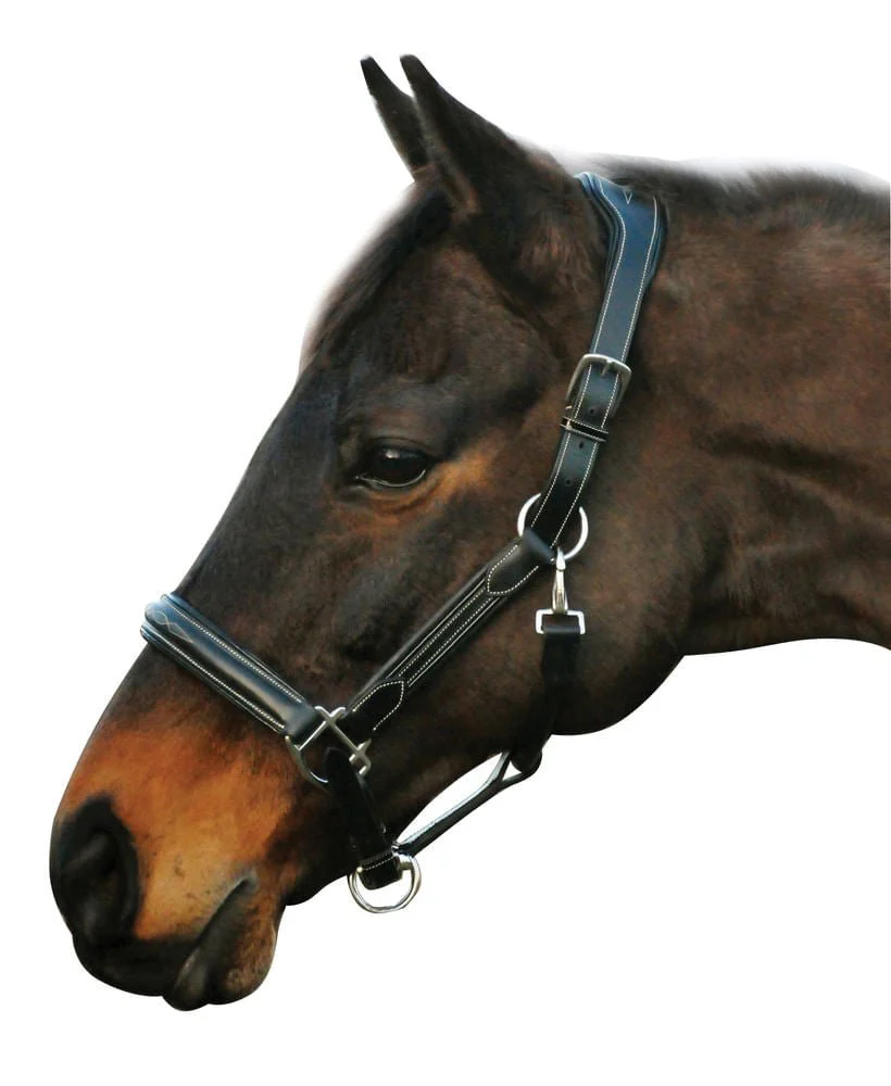 HDR Stress Free Fancy Stitch Leather Halter - Image 5