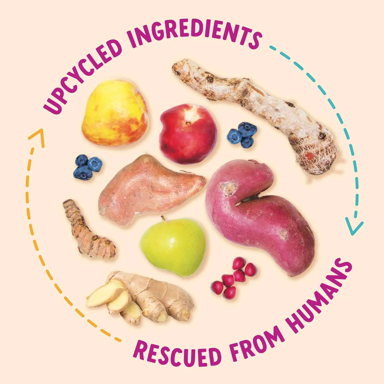 Health Extension Impawfect Bacon Recipe Training Treats for Dogs and Puppies, 4 oz - Image 6
