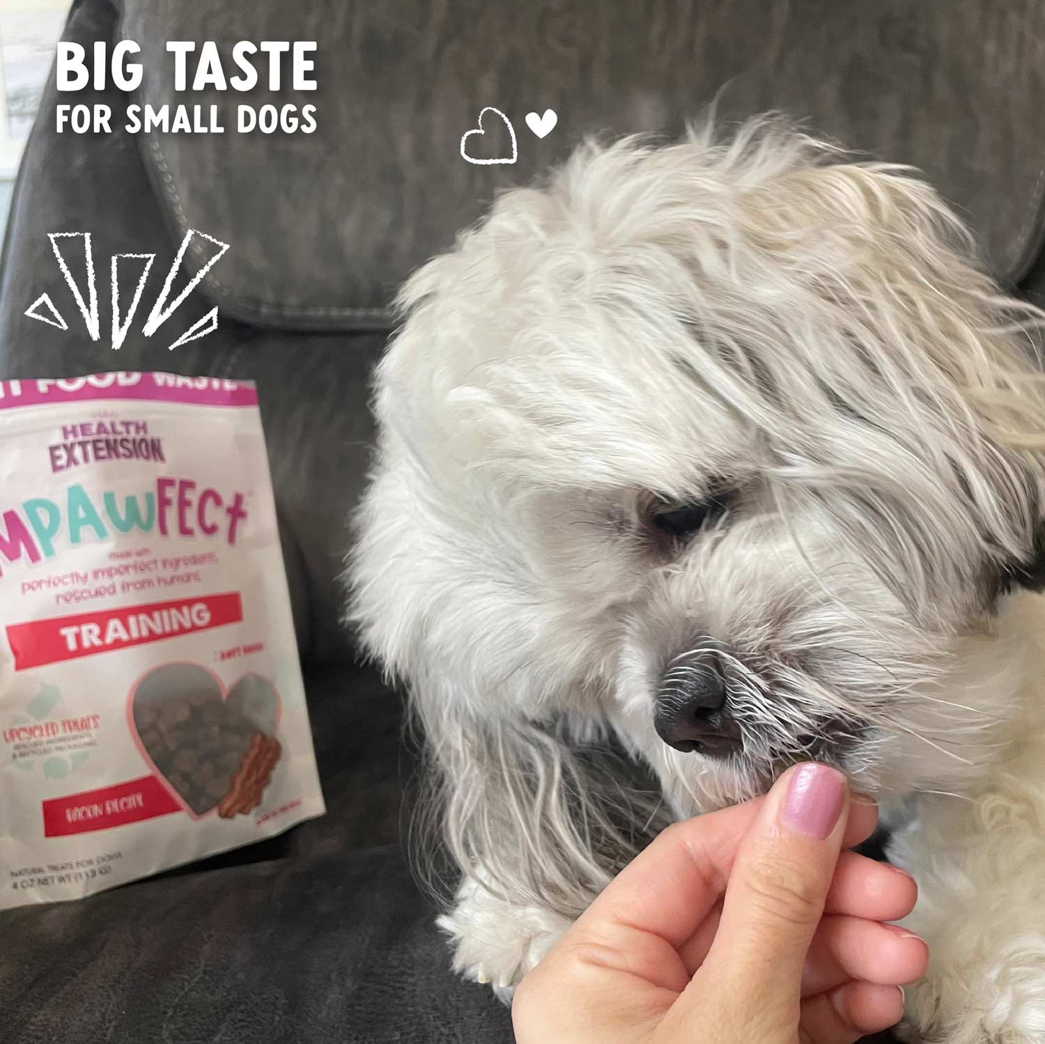 Health Extension Impawfect Bacon Recipe Training Treats for Dogs and Puppies, 4 oz - Image 8