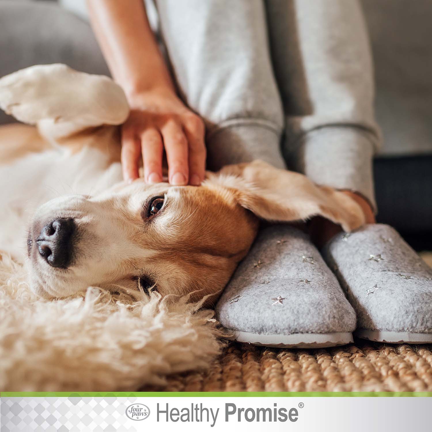 Healthy Promise Cat & Dog Ear Wipes, 35 ct - Image 11