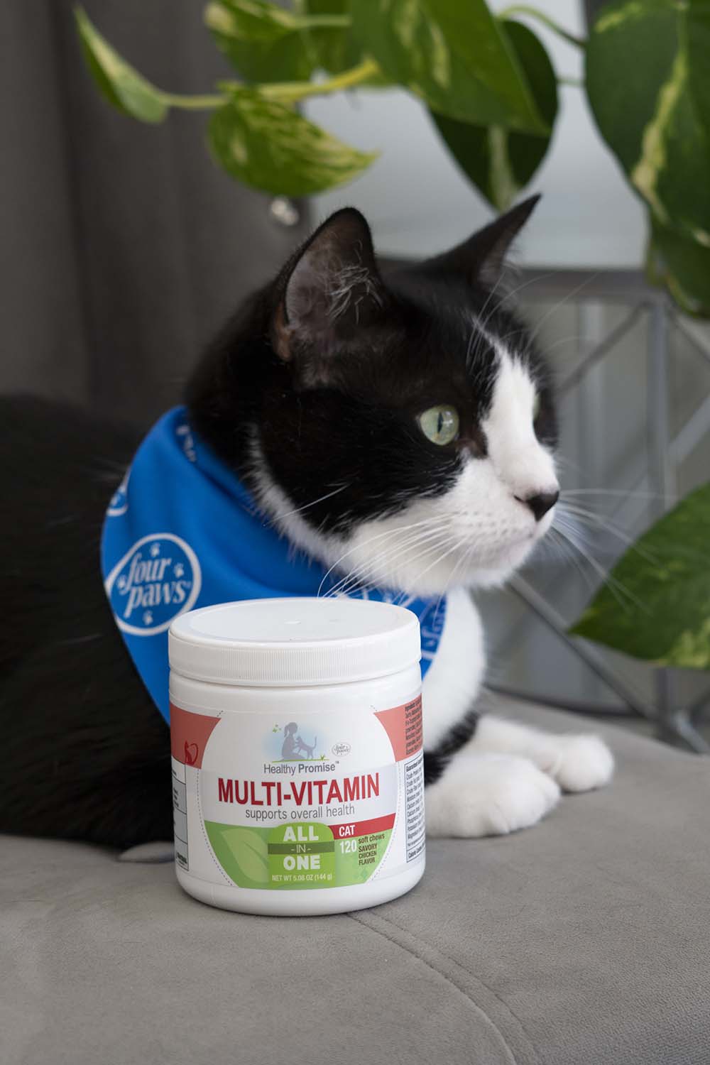 Healthy Promise Multi-Vitamins For Cats, Savory Chicken, 120 ct - Image 11