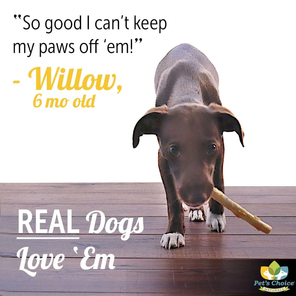 Pet's Choice Hide No More Dog Chews with Chicken - Image 8