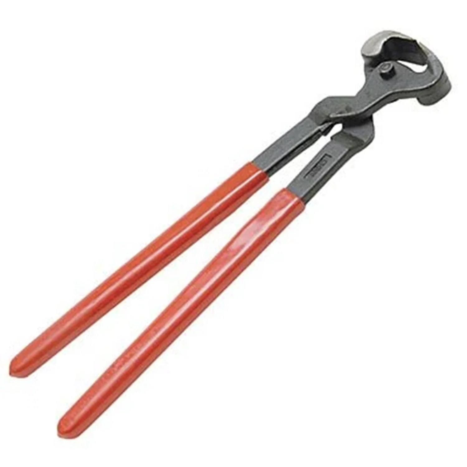 Jeffers Forged Hoof Nipper for Horses