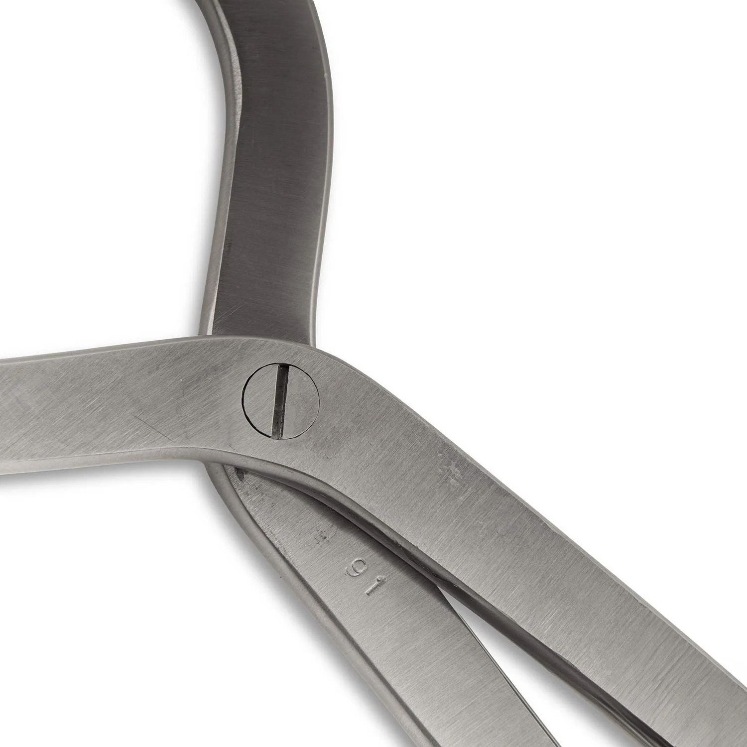 Jeffers Horse Hoof Tester Farrier Tool - Image 4