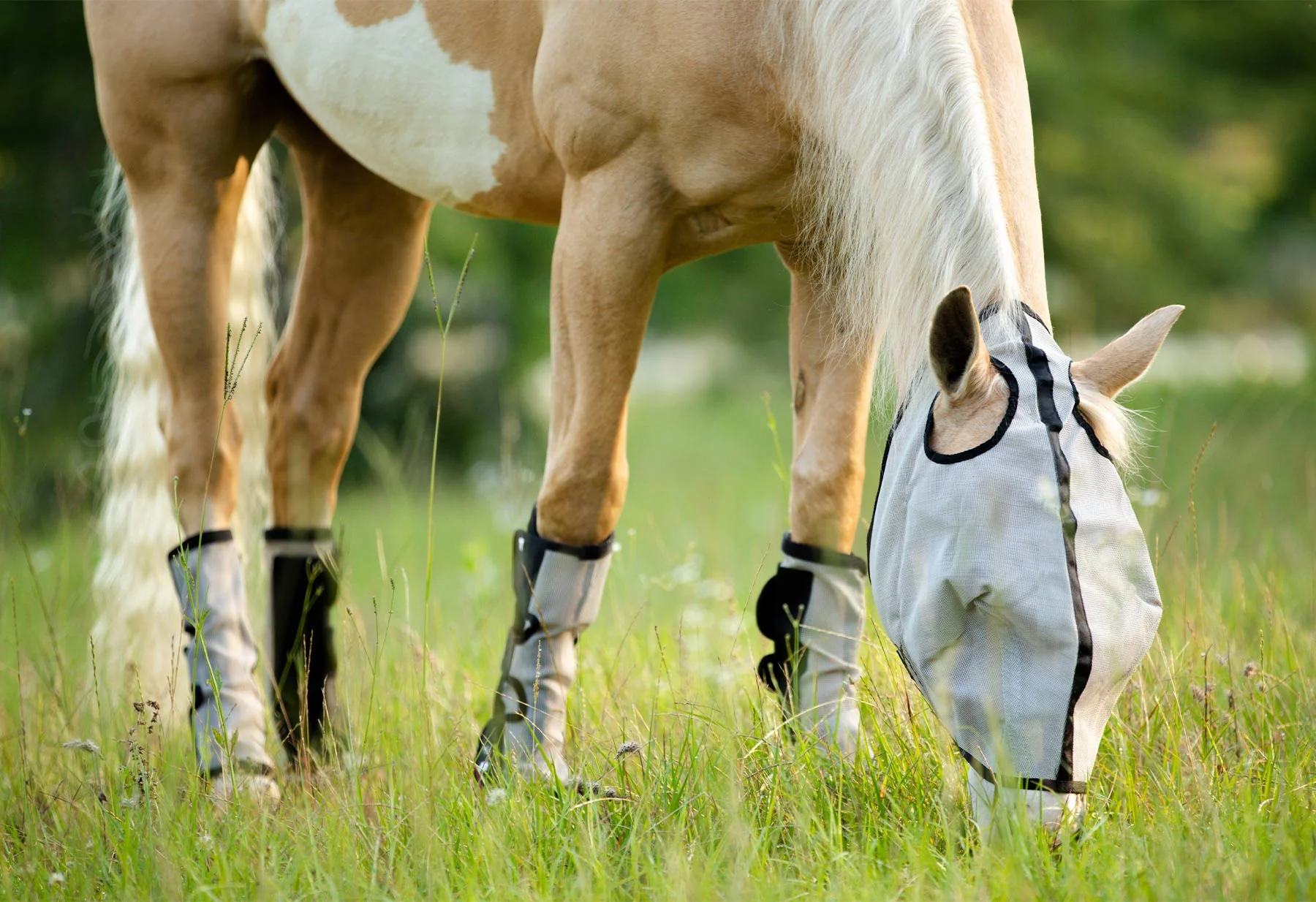 Horse Sense Fly Leg Wraps, Pair - Image 5