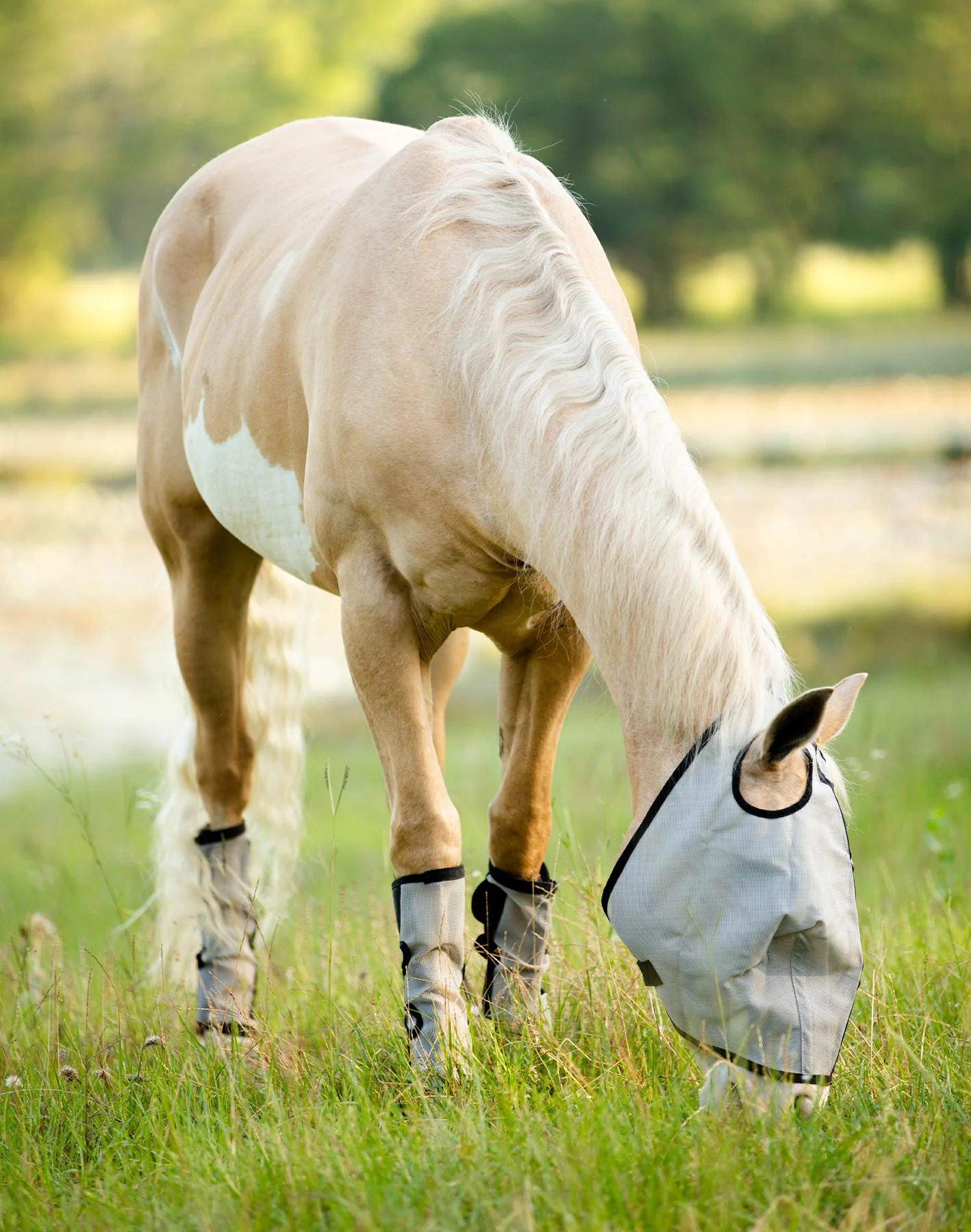 Horse Sense Fly Leg Wraps, Pair - Image 6
