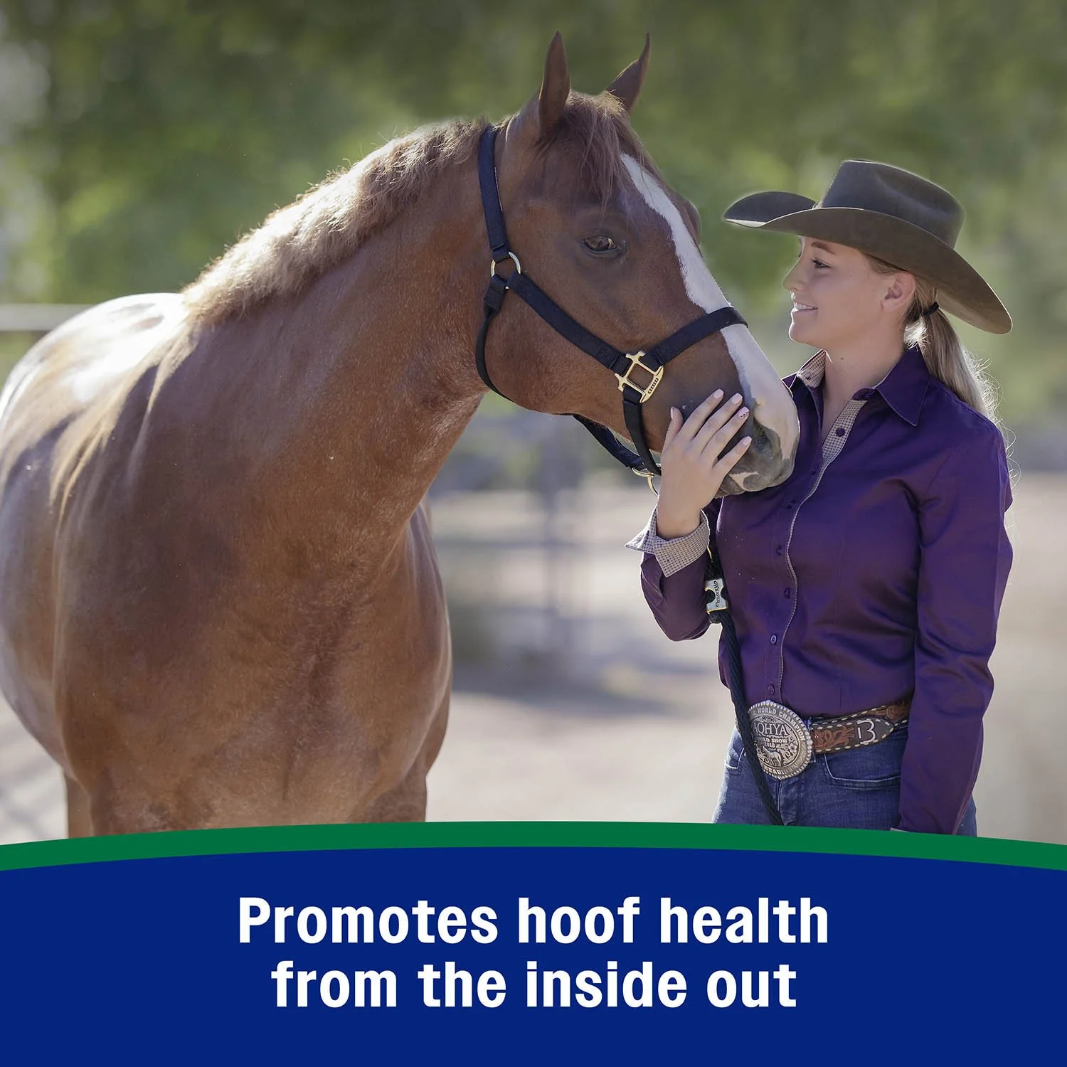Horseshoer's Secret Pelleted Hoof Supplement - Image 12