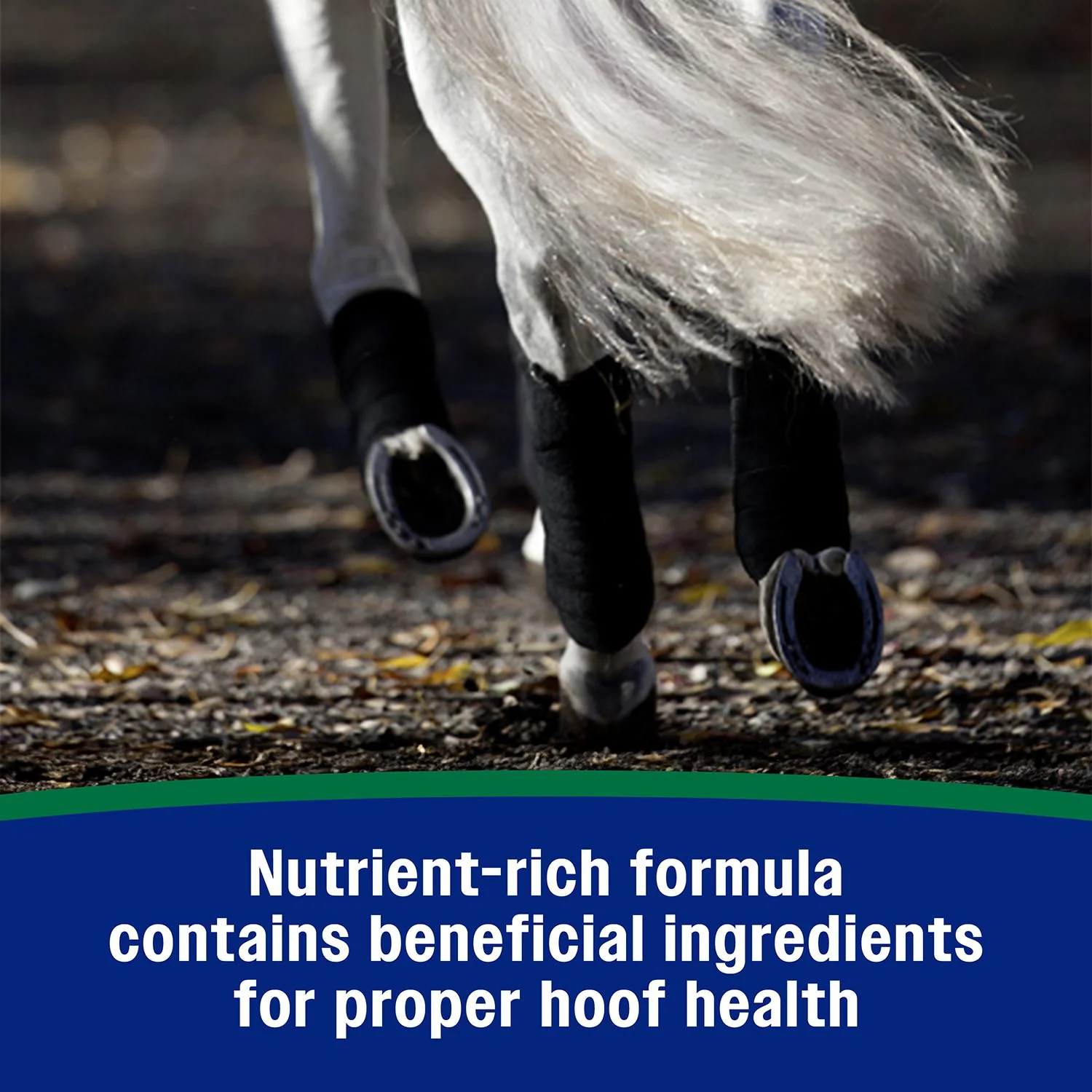 Horseshoer's Secret Pelleted Hoof Supplement - Image 14