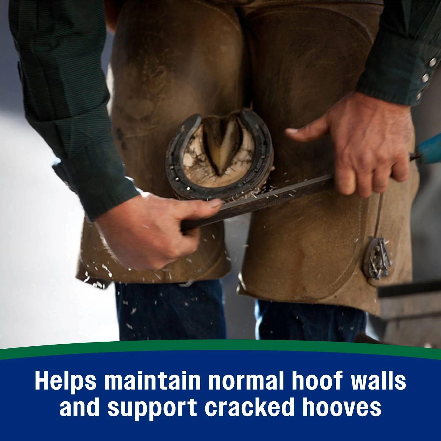 Horseshoer's Secret Pelleted Hoof Supplement - Image 21