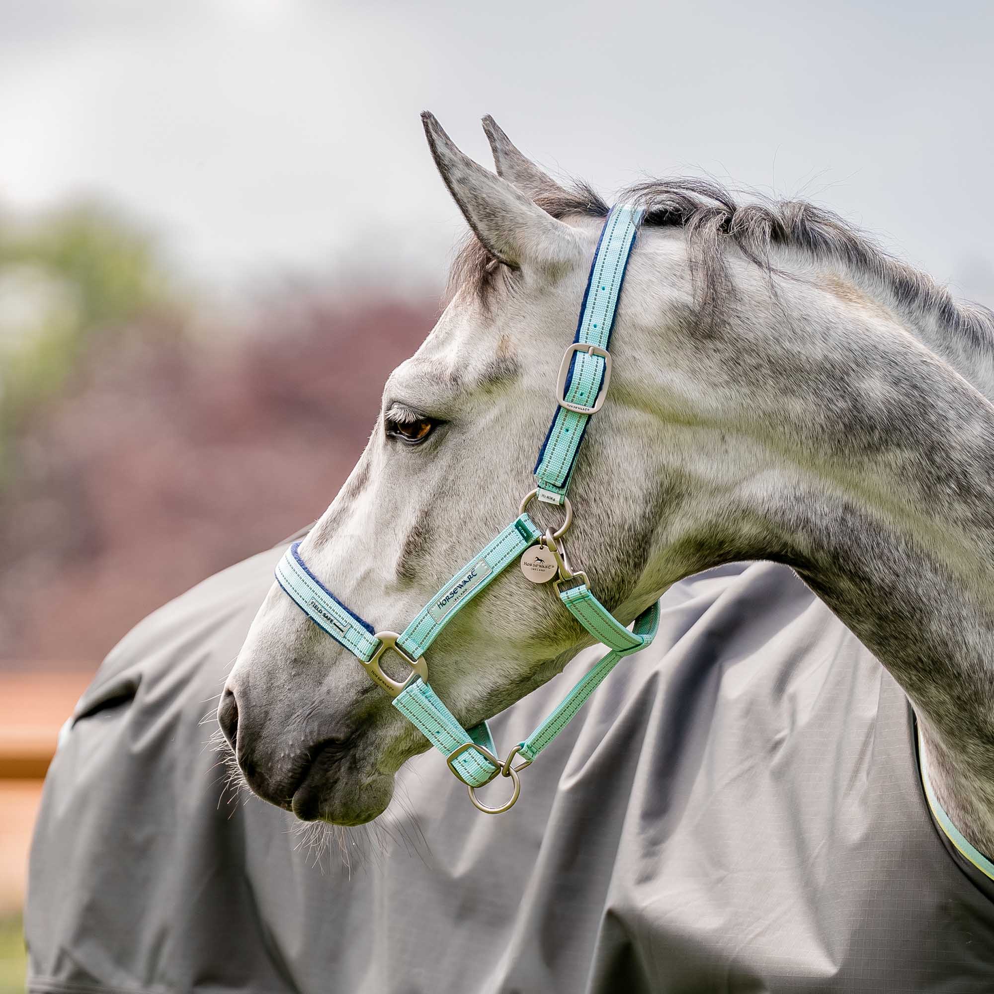 Horseware FieldSafe Halter - Image 6