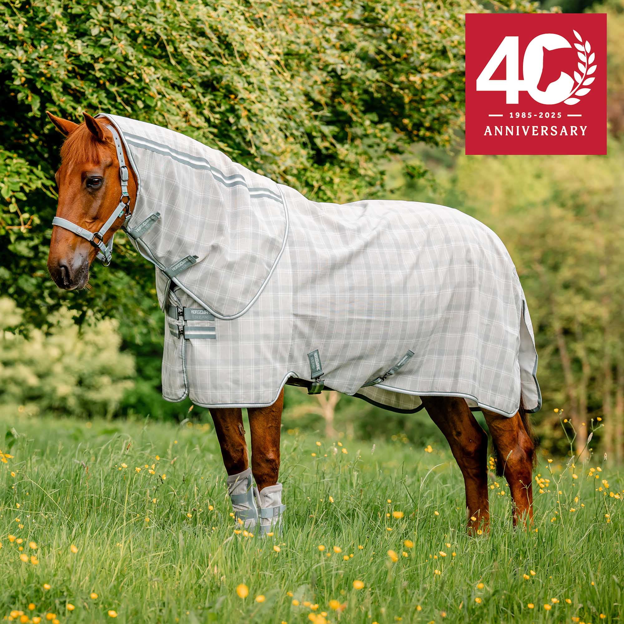 Horseware Newmarket Plus Fly Sheet - Image 6