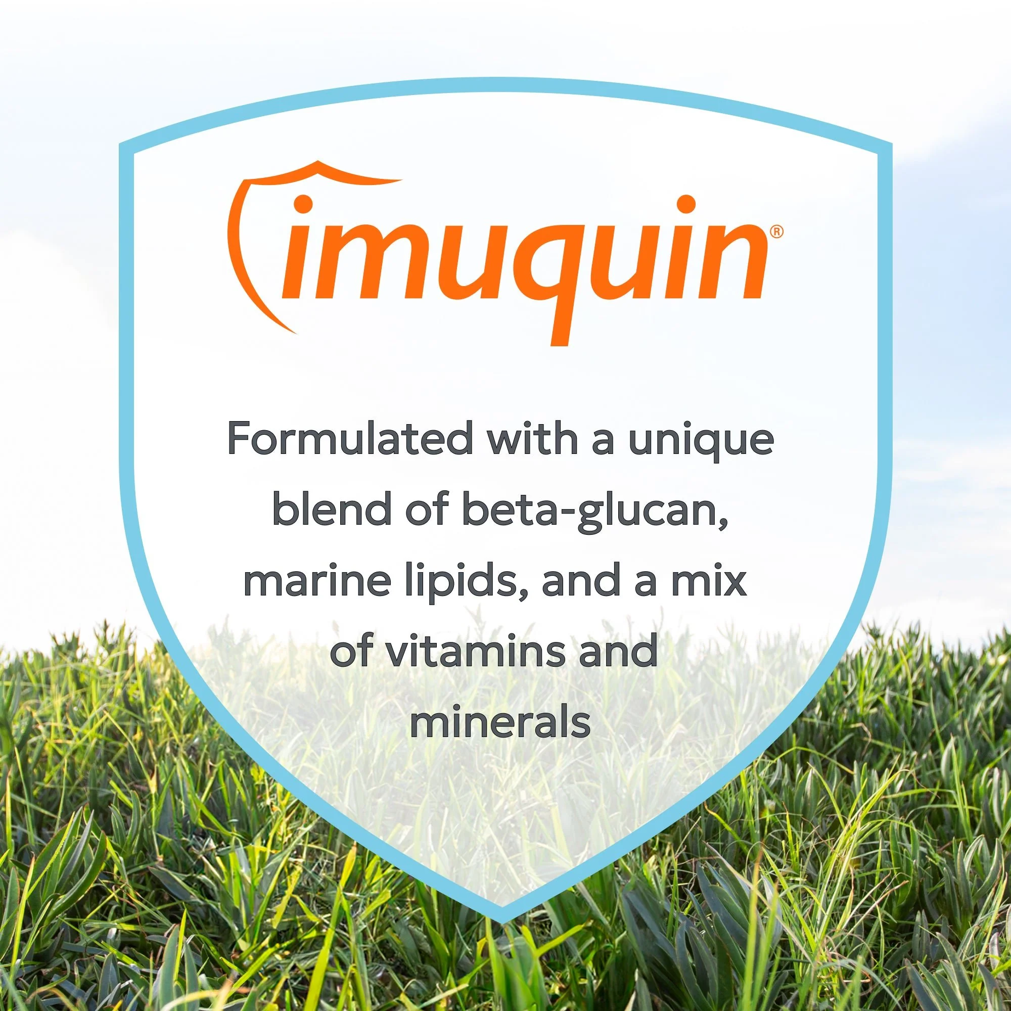 Nutramax Imuquin Immune Health for Dogs, 30 Packets - Image 7