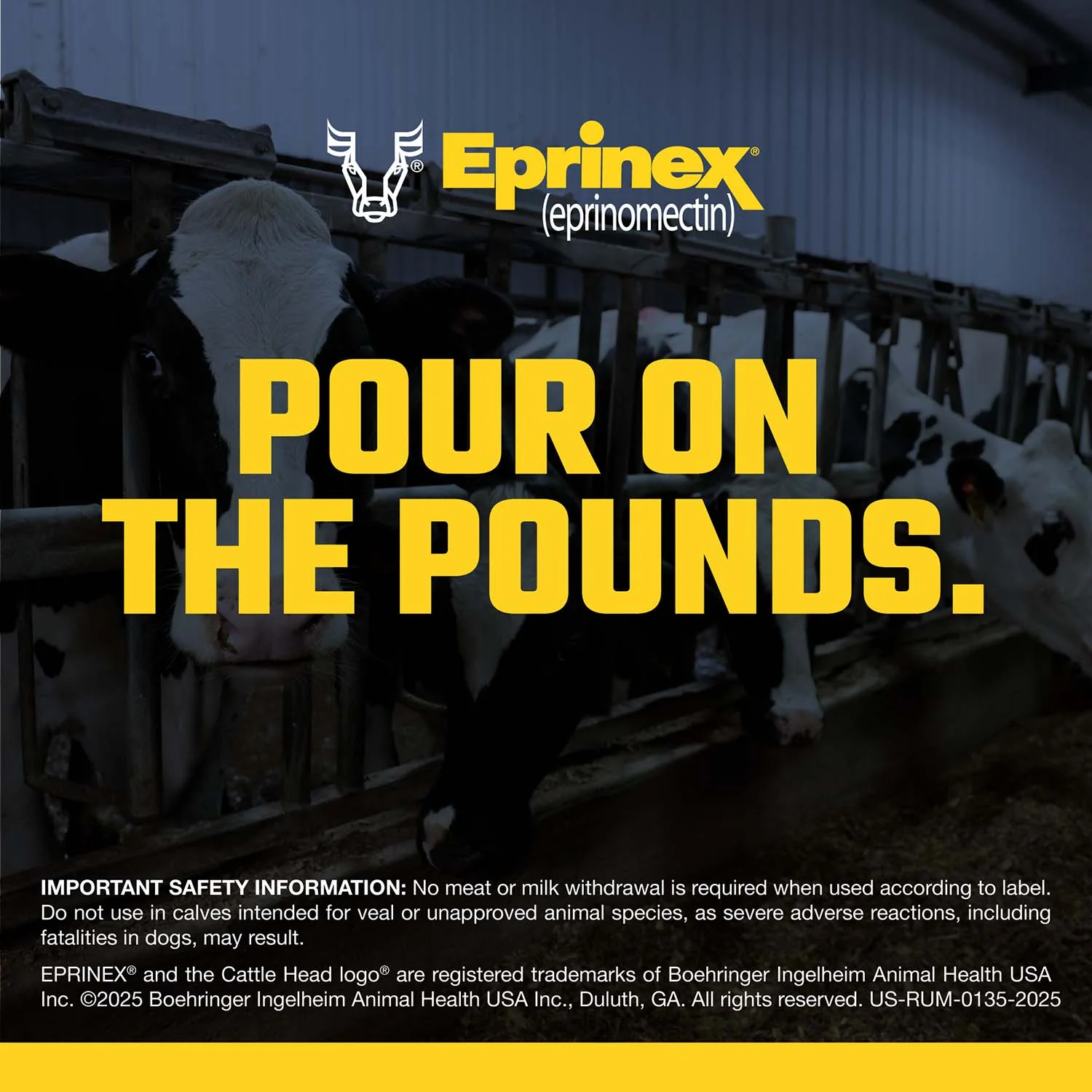 Eprinex (eprinomectin) Pour-On Cattle Wormer - Image 11