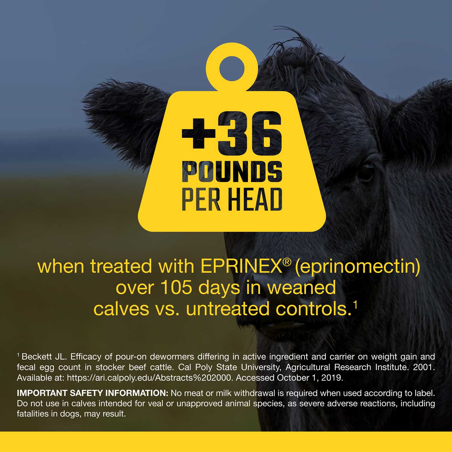 Eprinex (eprinomectin) Pour-On Cattle Wormer - Image 6