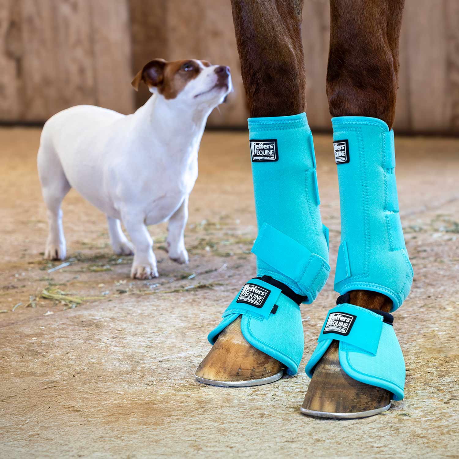 Jeffers Protective Horse Boots, Solid Colors - Image 13