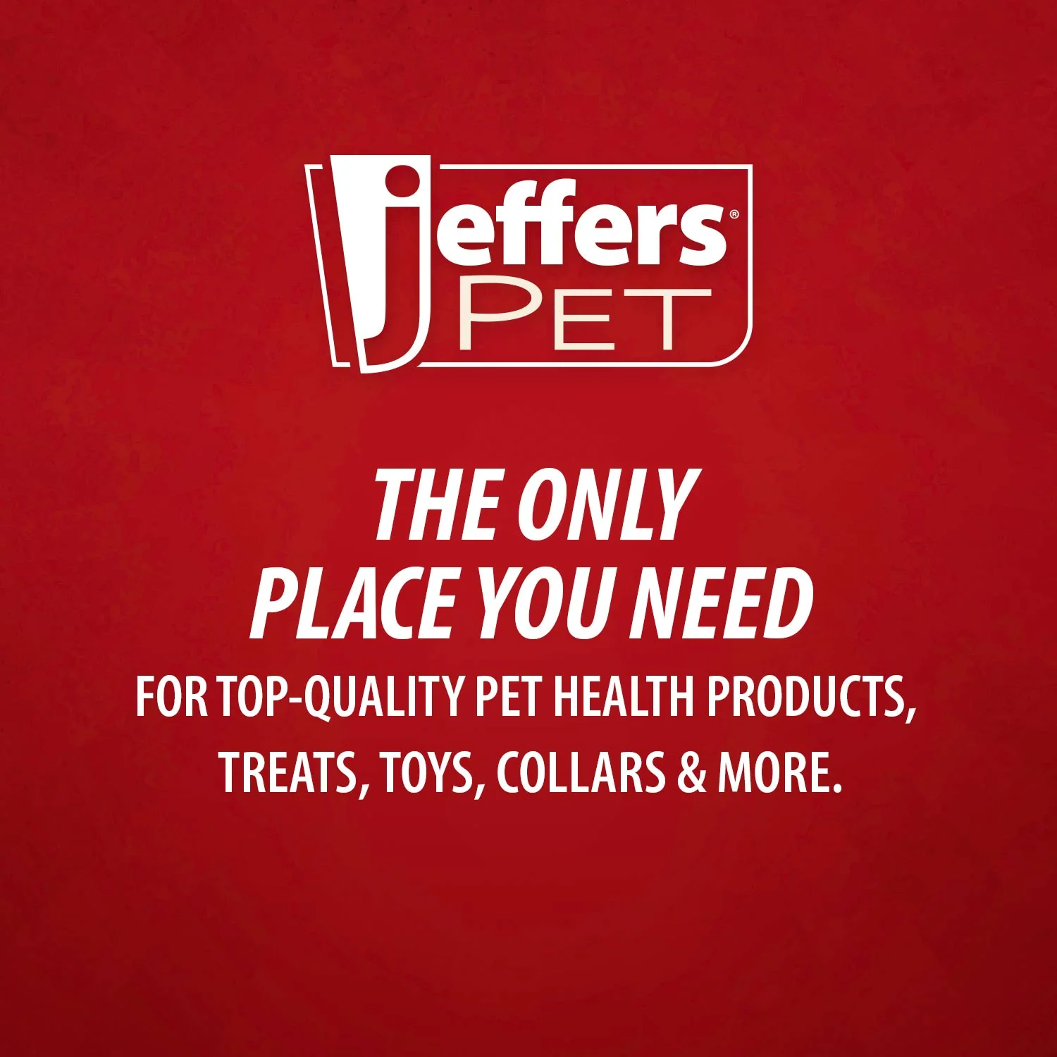 Jeffers Stainless Steel Cat Claw Scissors – Easy & Safe Nail Clippers for Cats, Birds, and Small Pets - Image 8