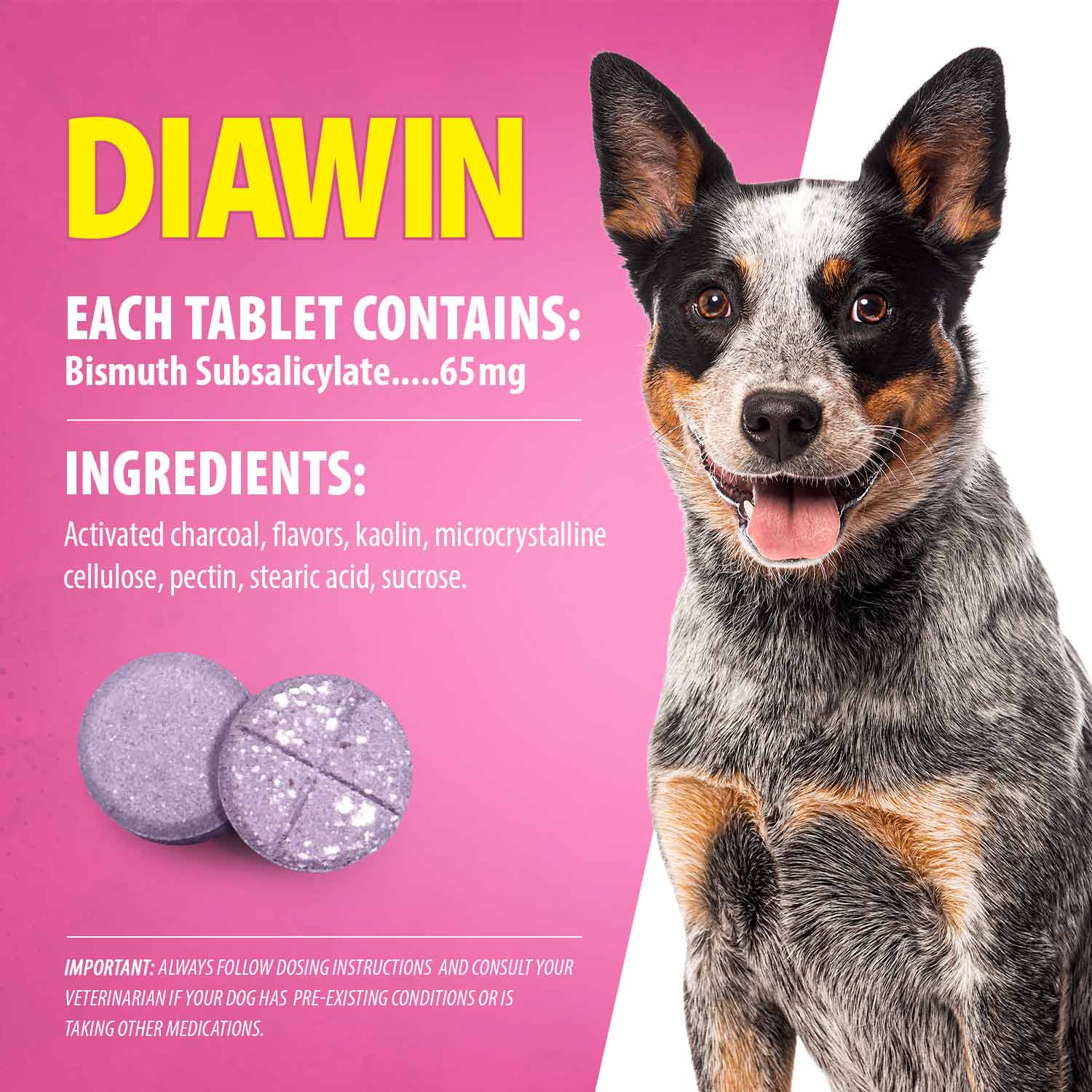 Jeffers Diawin Digestive Support for Dogs - Bismuth Tummy Relief for Diarrhea - Image 2