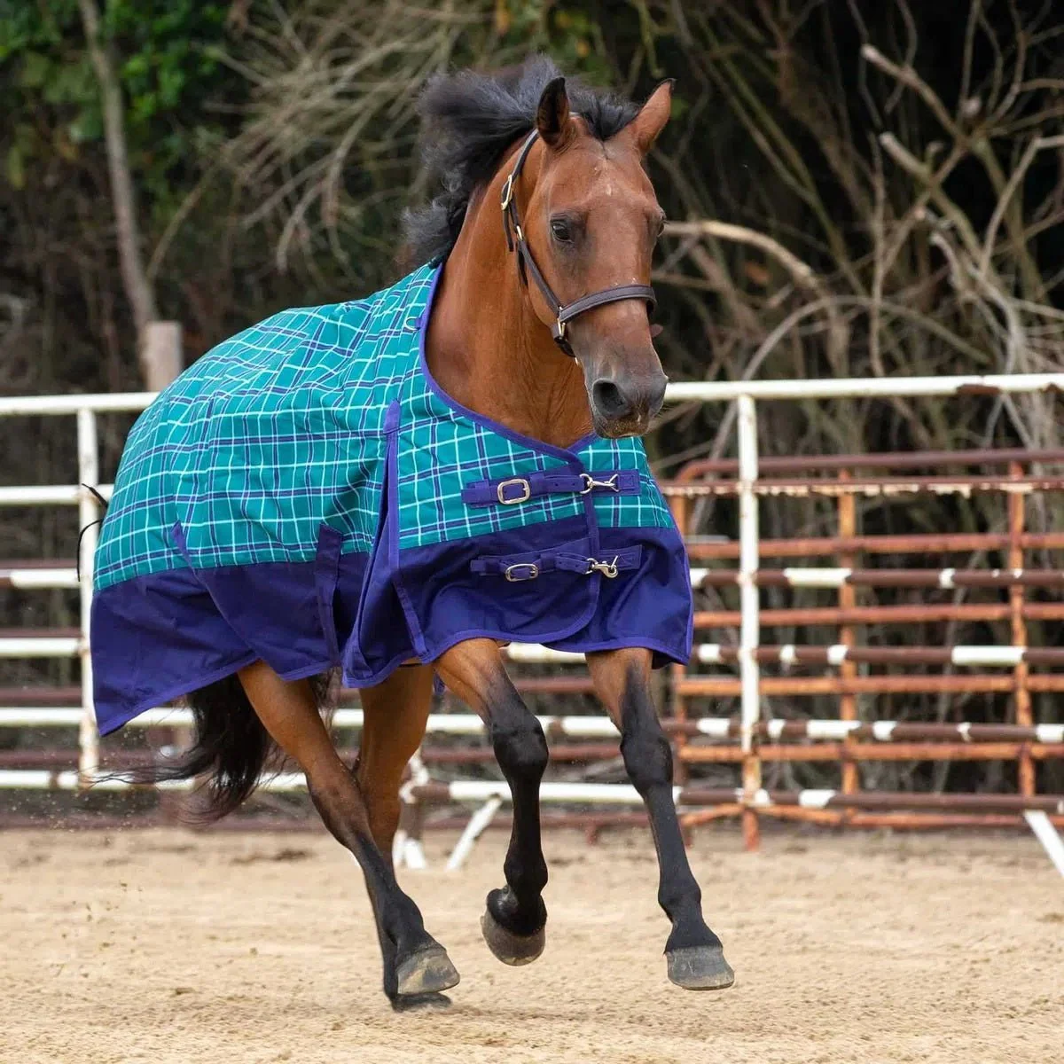 Jeffers Economy 600 Denier Plaid Medium-Weight Standard Neck Horse Turnout Blanket, 240 g - Image 5