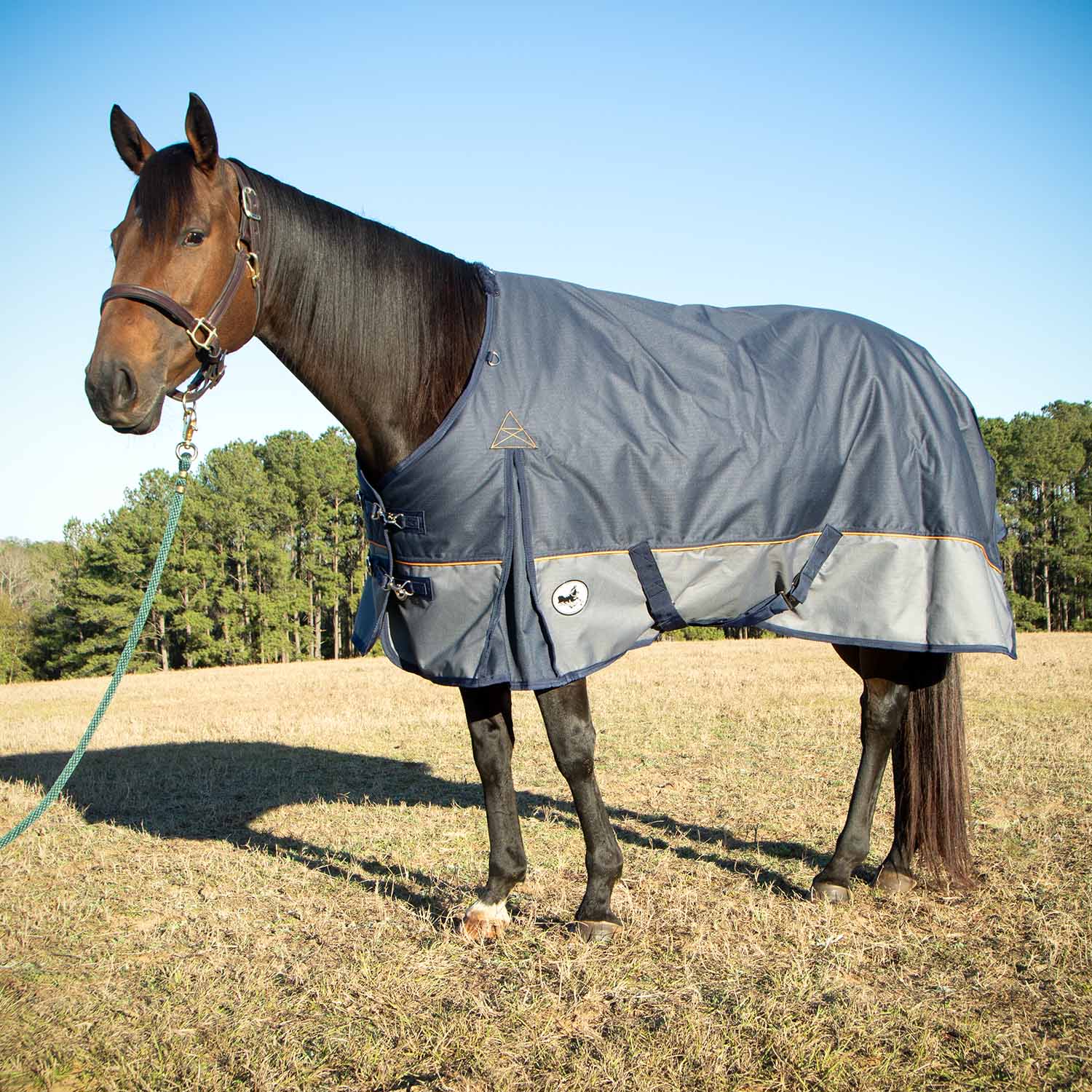 Jeffers Economy Plus 1200 Denier Turnout Blanket with Standard Neck, 240 Gram