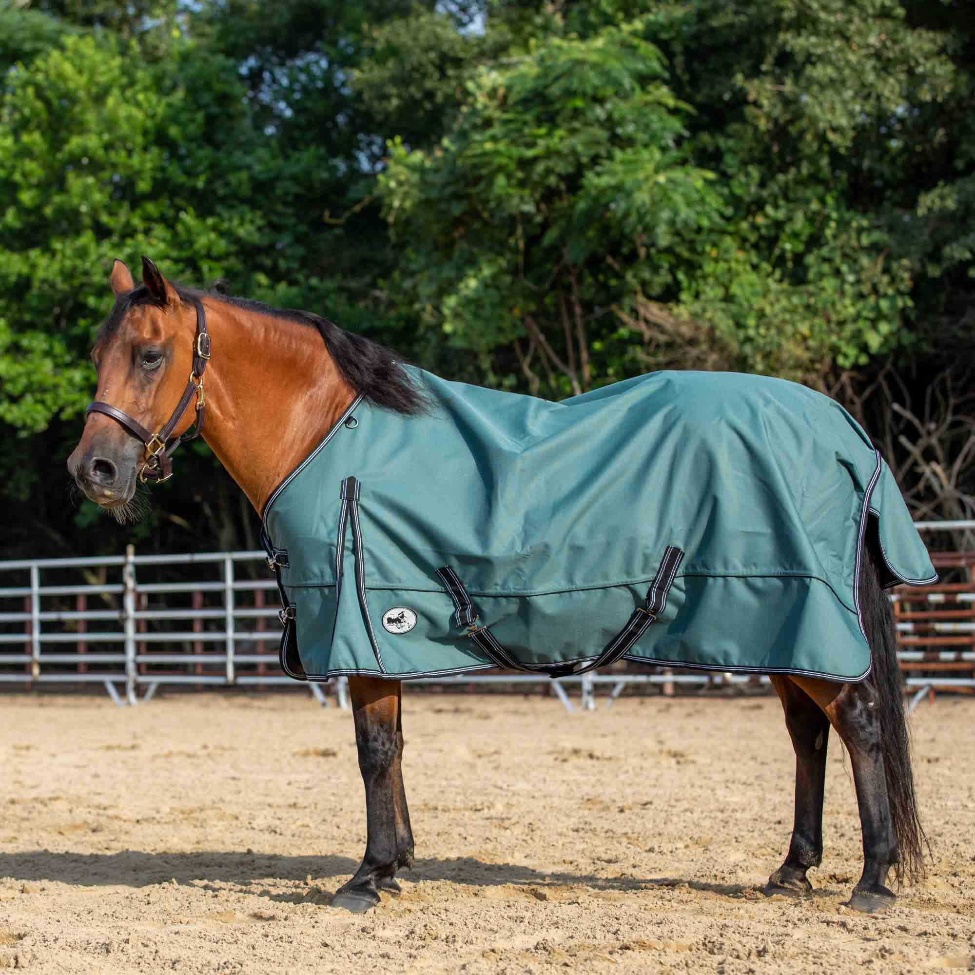 Jeffers Economy Plus Lightweight Standard Neck Horse Horse Turnout Sheet, 1200 Denier, 0 g Fill, Sage Green