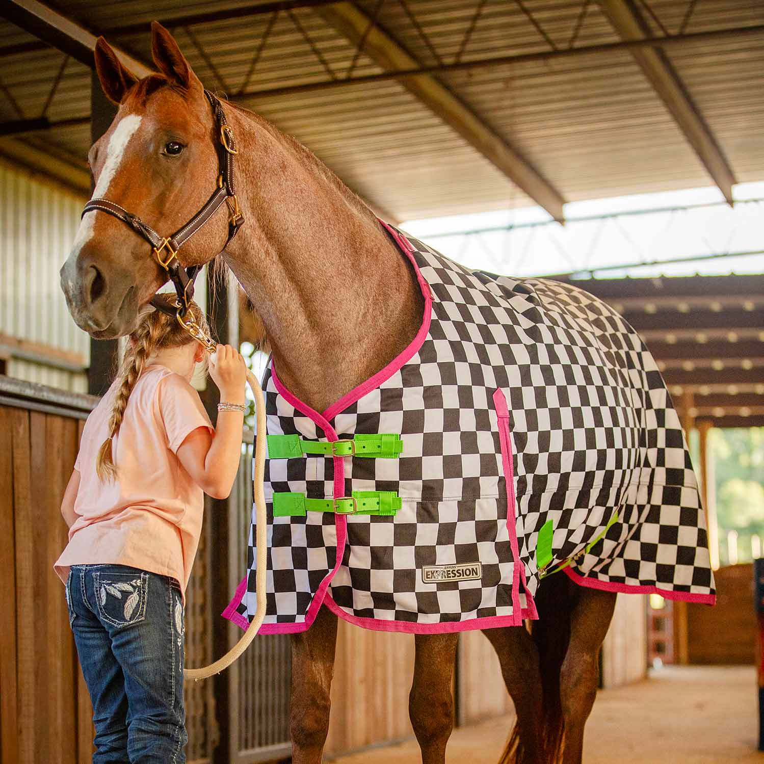Jeffers Expression 1200 Denier Standard Neck Turnout Horse Blanket, 240 Gram - Image 19