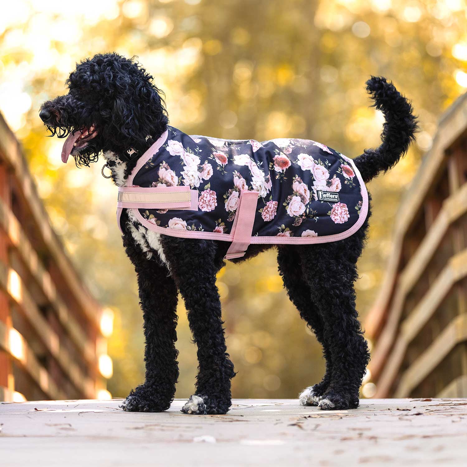 Jeffers Expression 600D Waterproof Ripstop Dog Coat, 240 Gram - Image 11