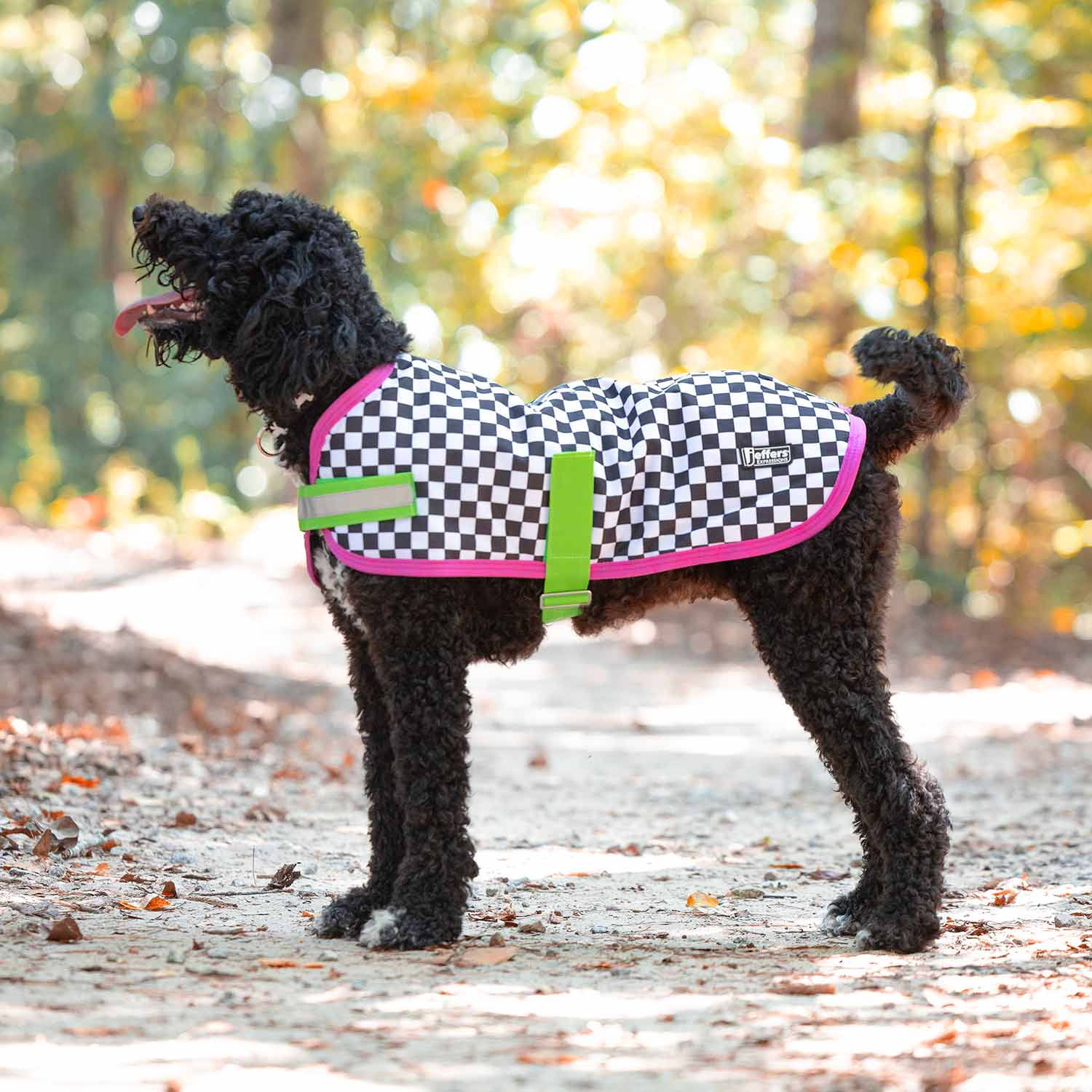Jeffers Expression 600D Waterproof Ripstop Dog Coat, 240 Gram - Image 25