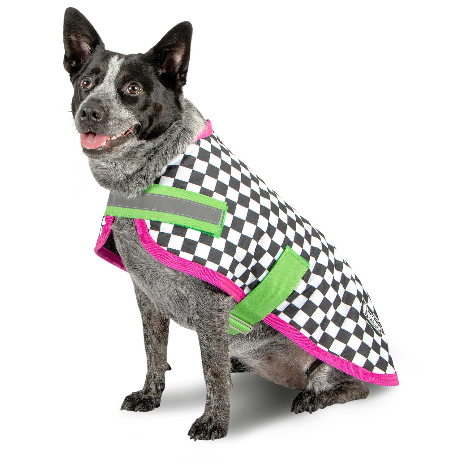 Jeffers Expression 600D Waterproof Ripstop Dog Coat, 240 Gram - Image 33