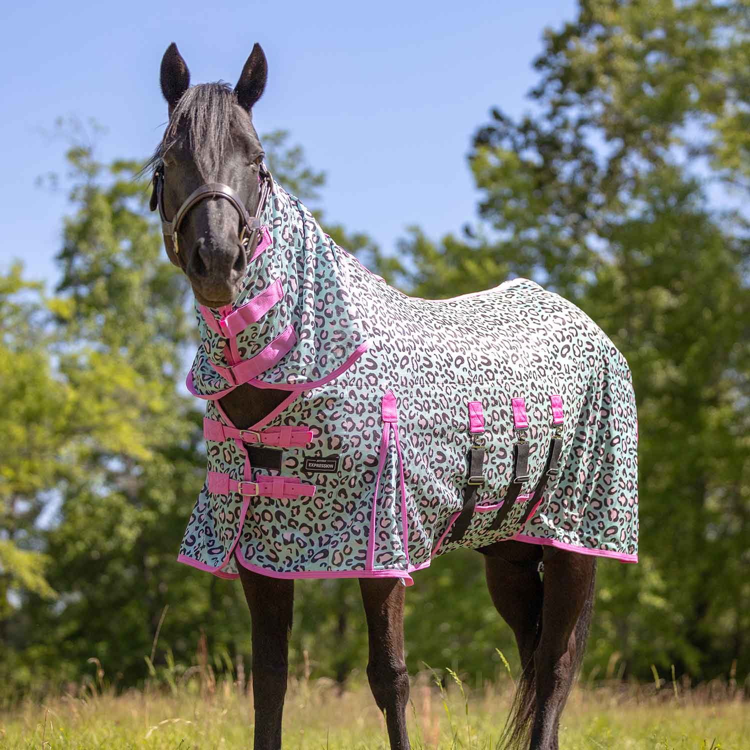 Jeffers Expression Softmesh Combo Neck Horse Fly Sheet - Image 15