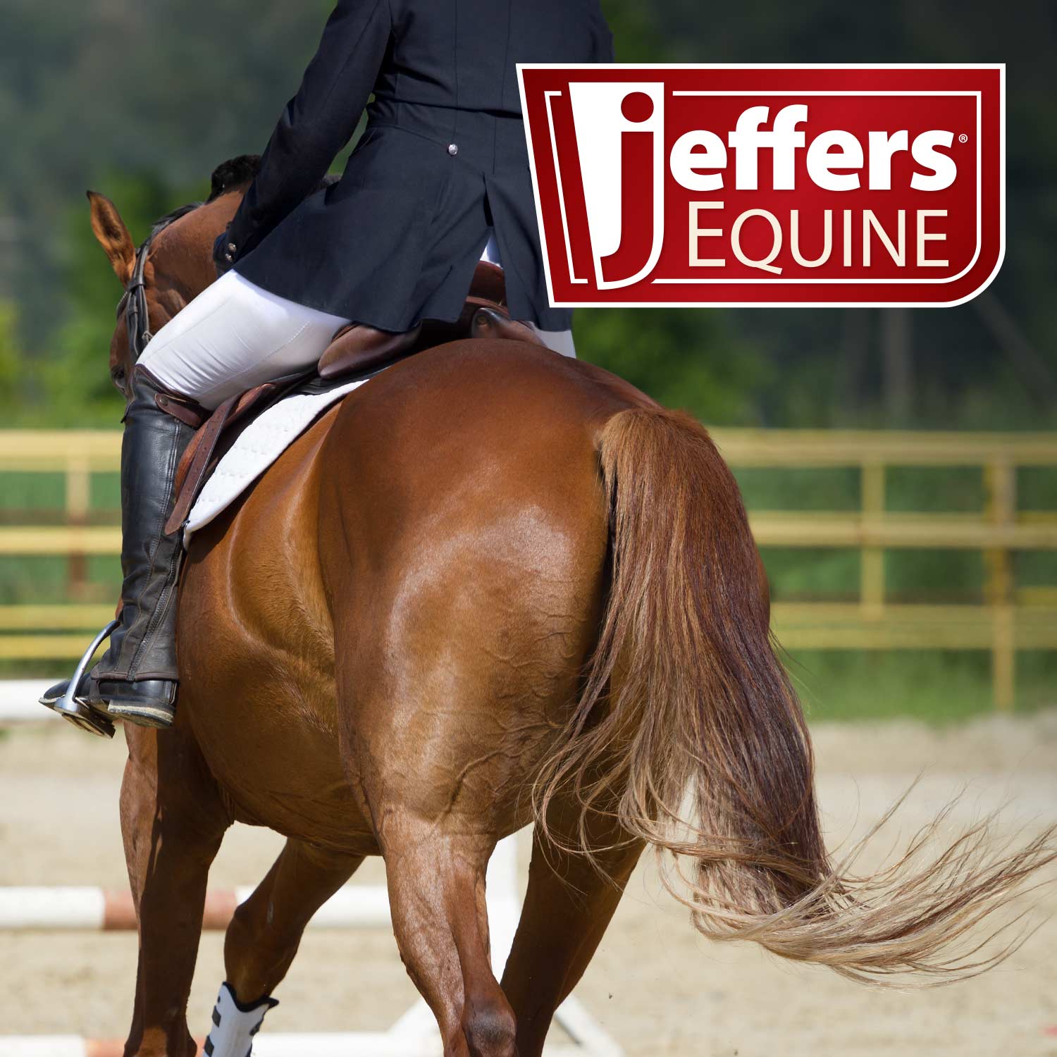 Jeffers Horse Health Records - Image 8