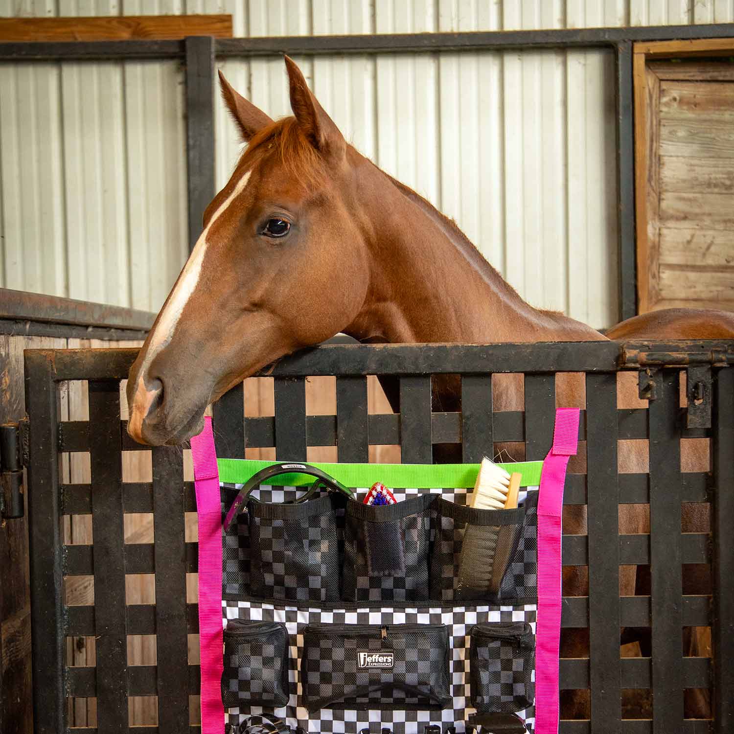 Jeffers Expression Trailer Door Horse Grooming Caddy - Image 20