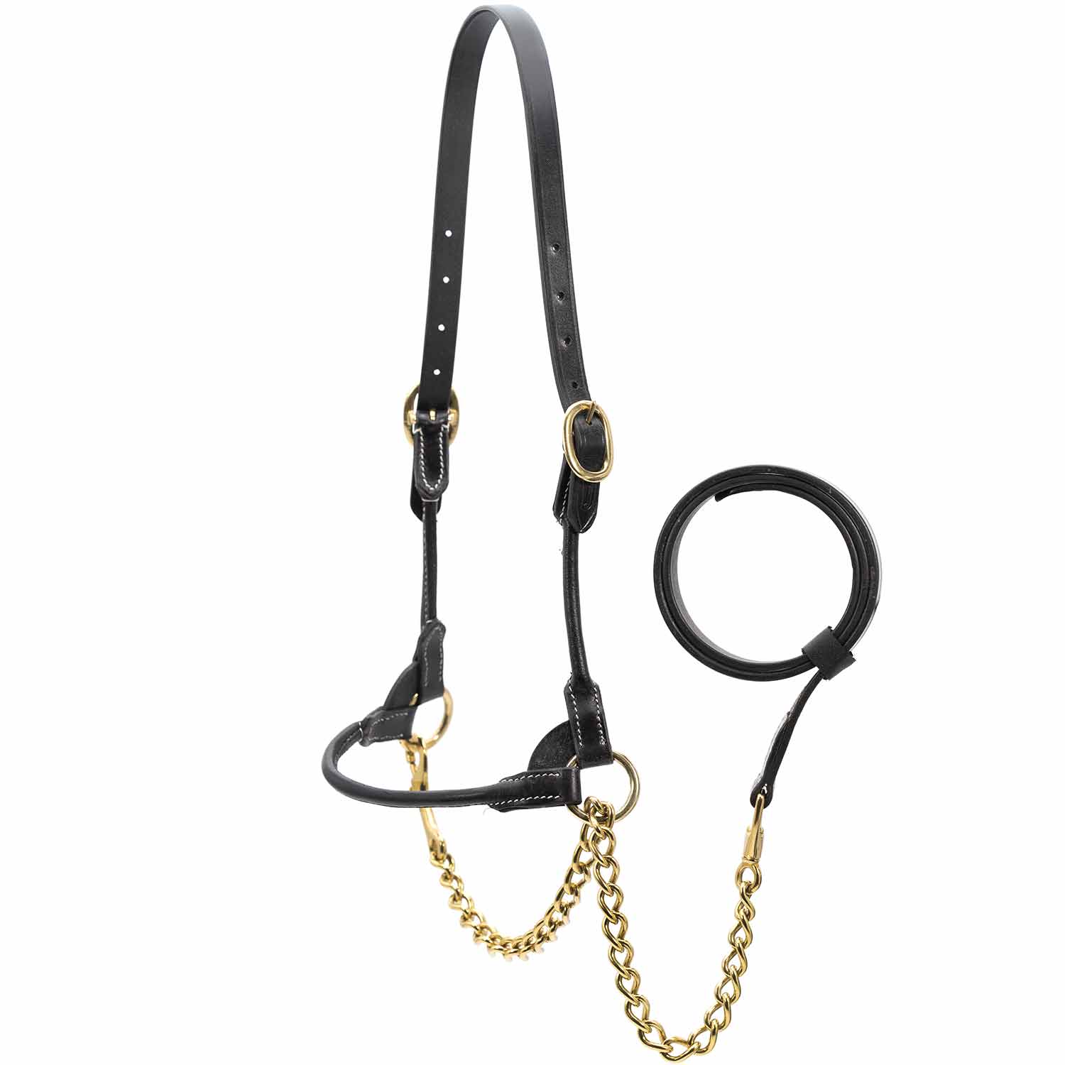 Jeffers Harness Leather Show Halter for Cattle – Includes Lead & Brass Chain - Image 7