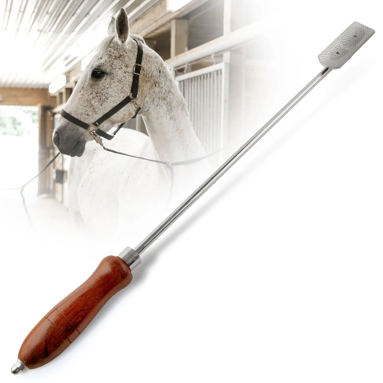 Jeffers Horse Dental Float (& Replacement Blades)