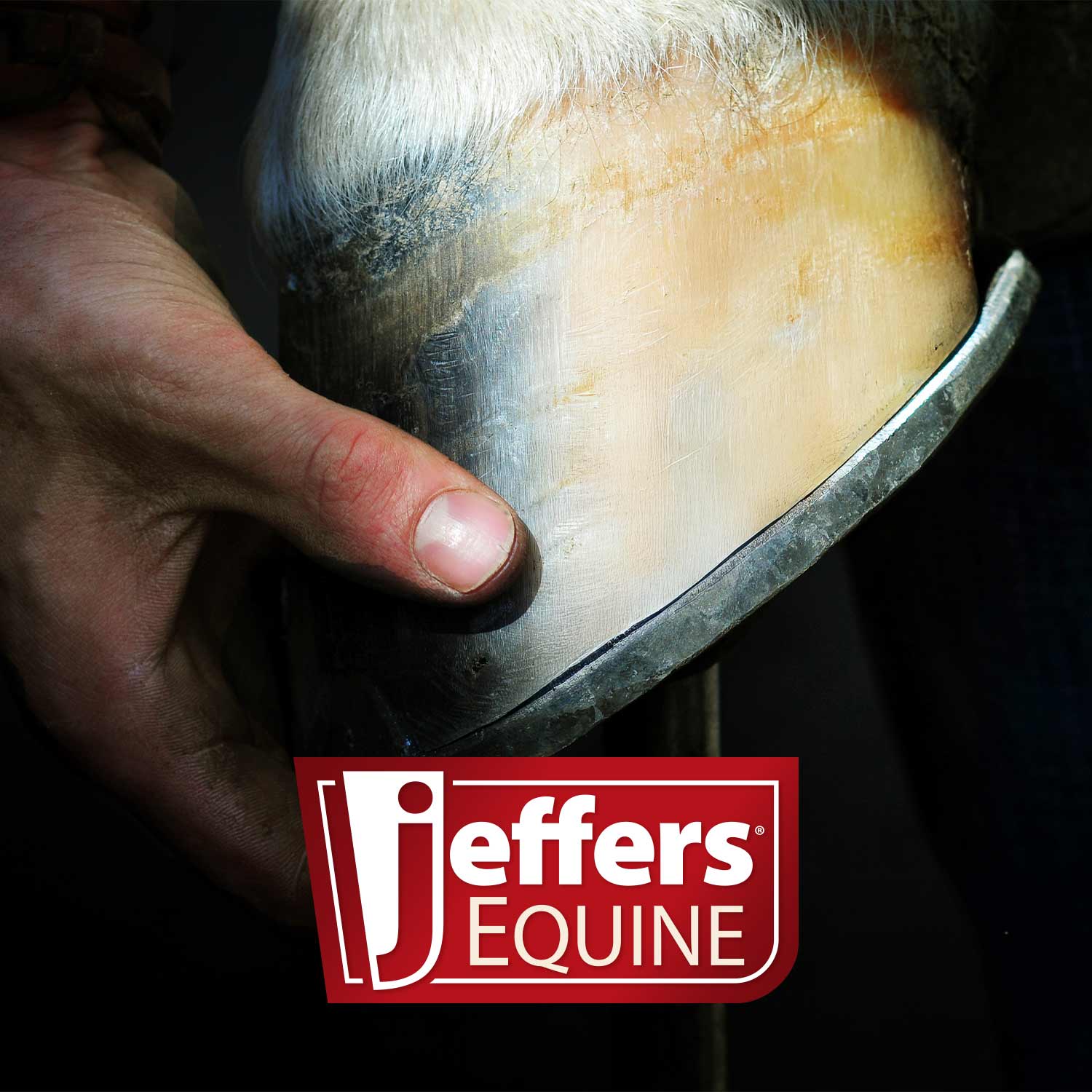 Jeffers Thrush Away Hoof Treatment for Thrush in Horses, 2 oz - Image 8
