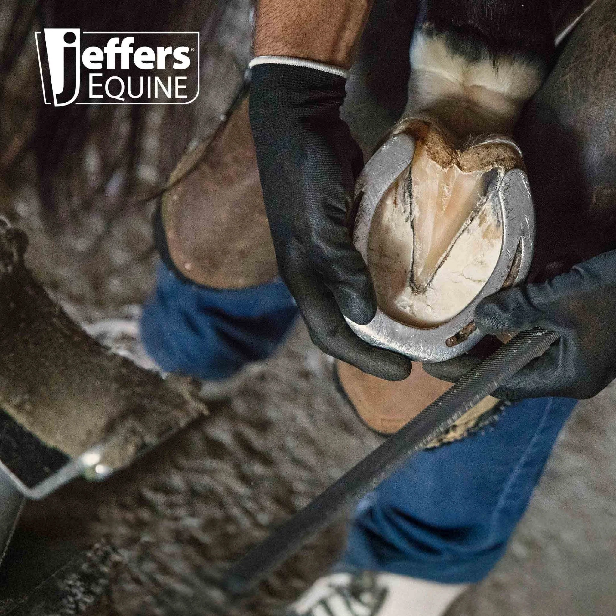 Jeffers Tanged Steel Hoof Rasp – Durable 10" & 14" Rasp for Horses, Ponies, Minis, Goats, and Sheep - Image 7