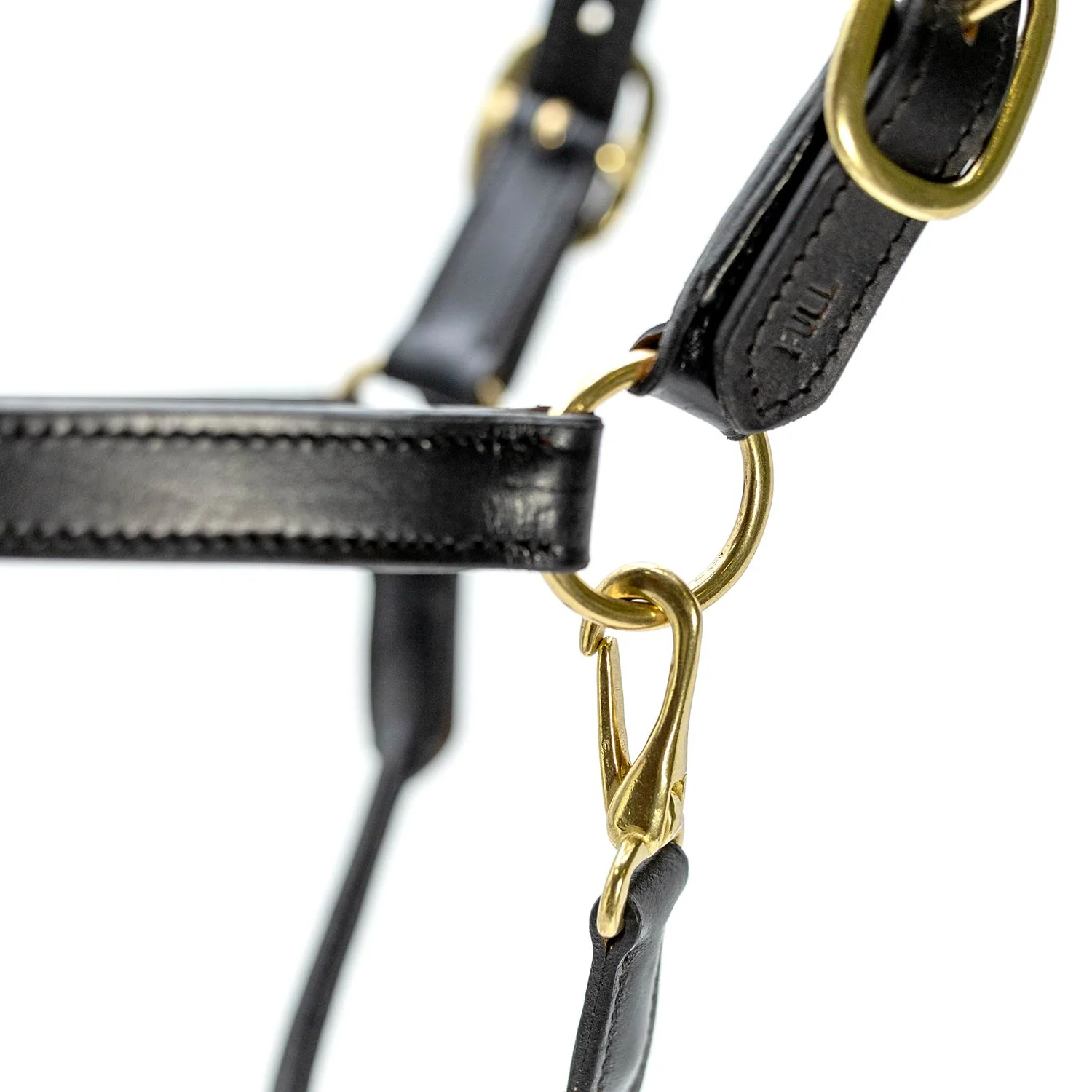 Jeffers Paris Padded Leather Horse Halter with Throat Snap – Adjustable Black Premium Triple Stitching - Image 5