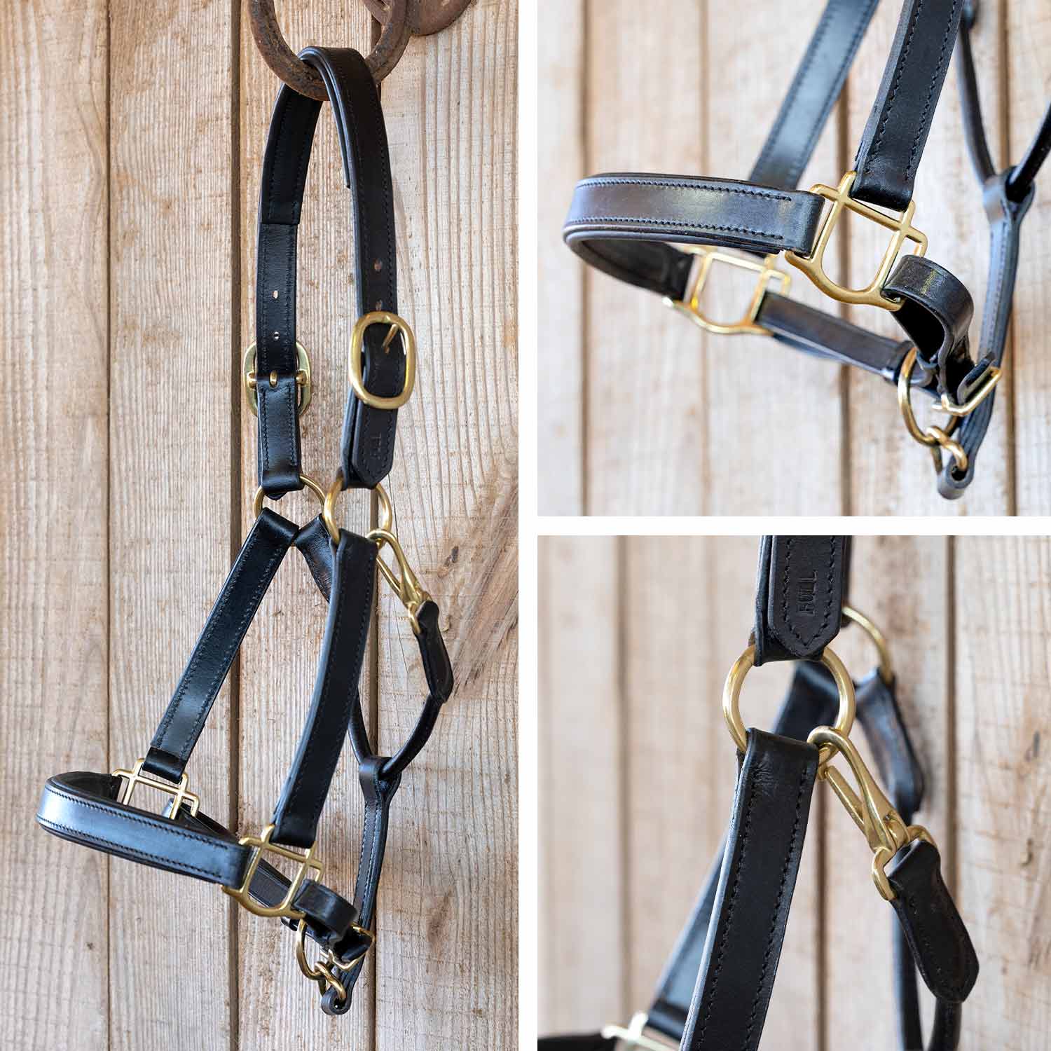 Jeffers Paris Padded Leather Horse Halter with Throat Snap – Adjustable Black Premium Triple Stitching - Image 8