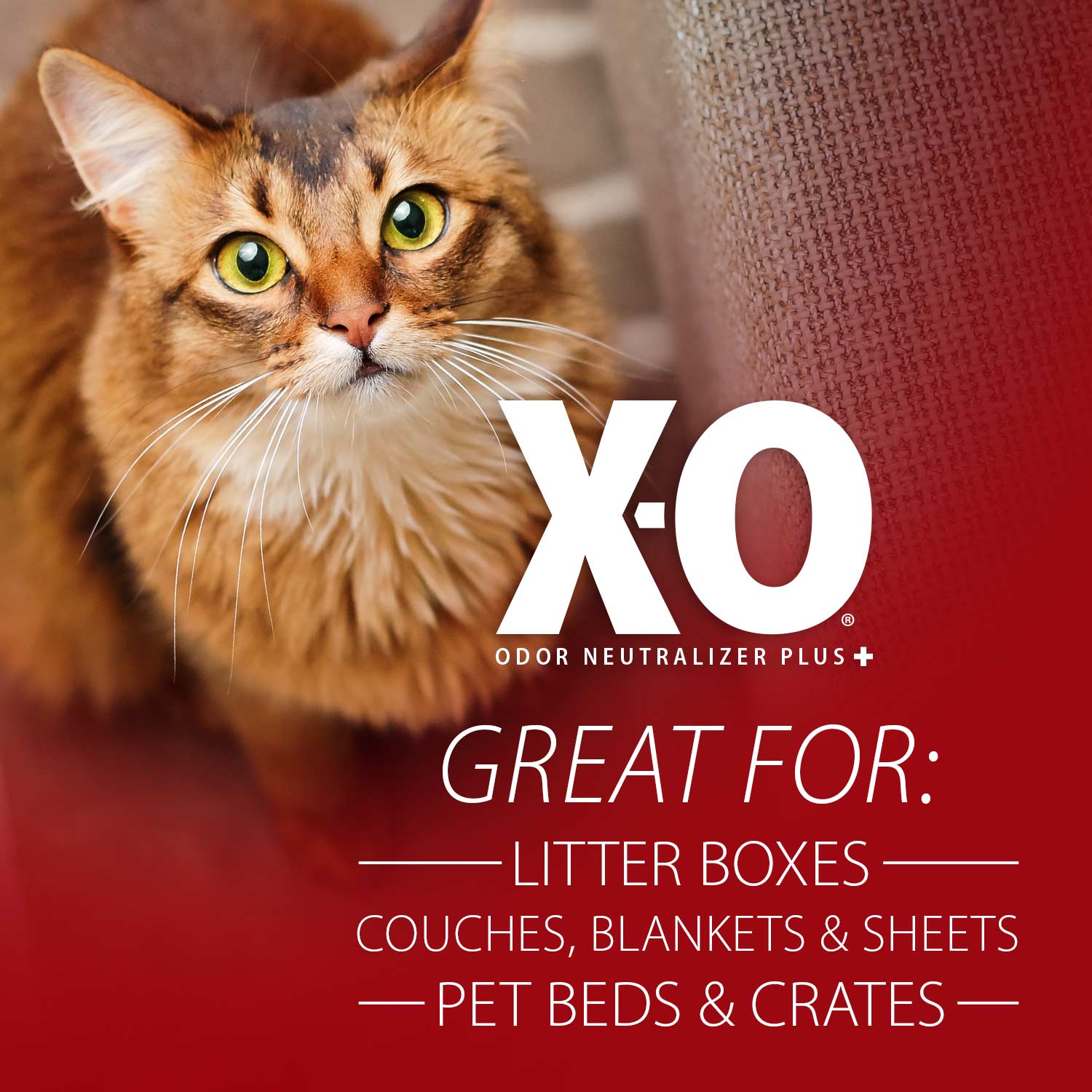 Jeffers X-O Pet Odor Neutralizer Plus + Cleaner Concentrate - Image 5
