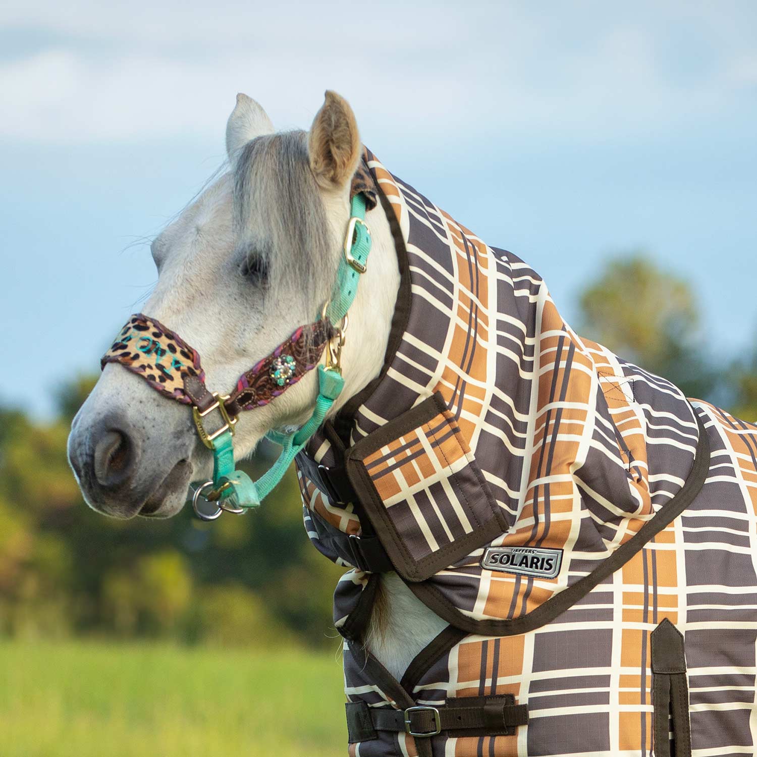 Jeffers Pony Poppins Solaris Horse Neck Rug, 1200 Denier / 240g Fill, Brown & Cream Plaid