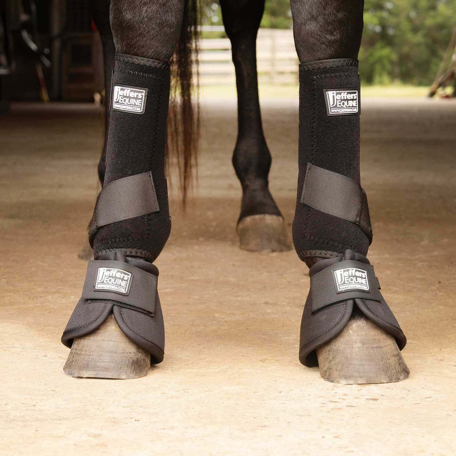 Jeffers Protective Horse Boots, Solid Colors - Image 2