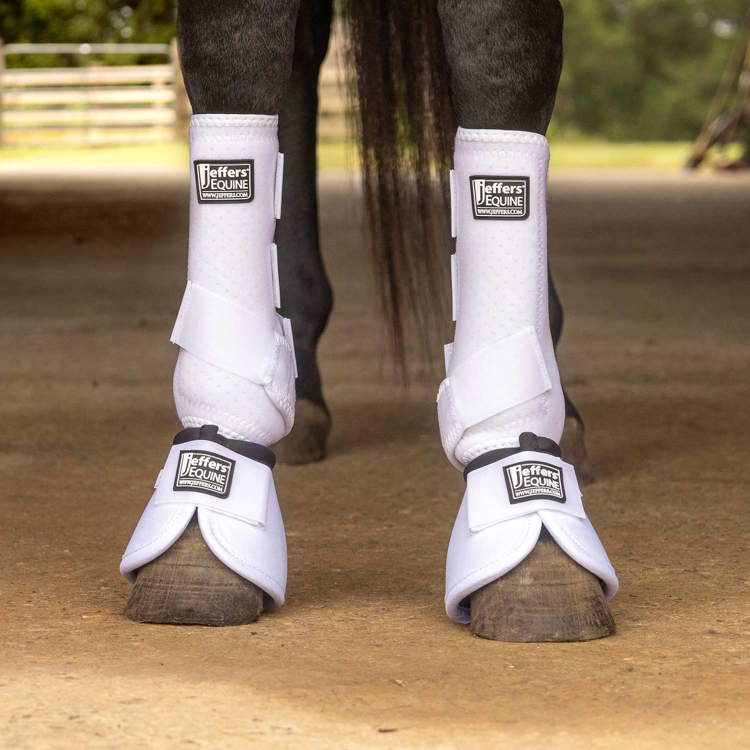 Jeffers Protective Horse Boots, Solid Colors - Image 4