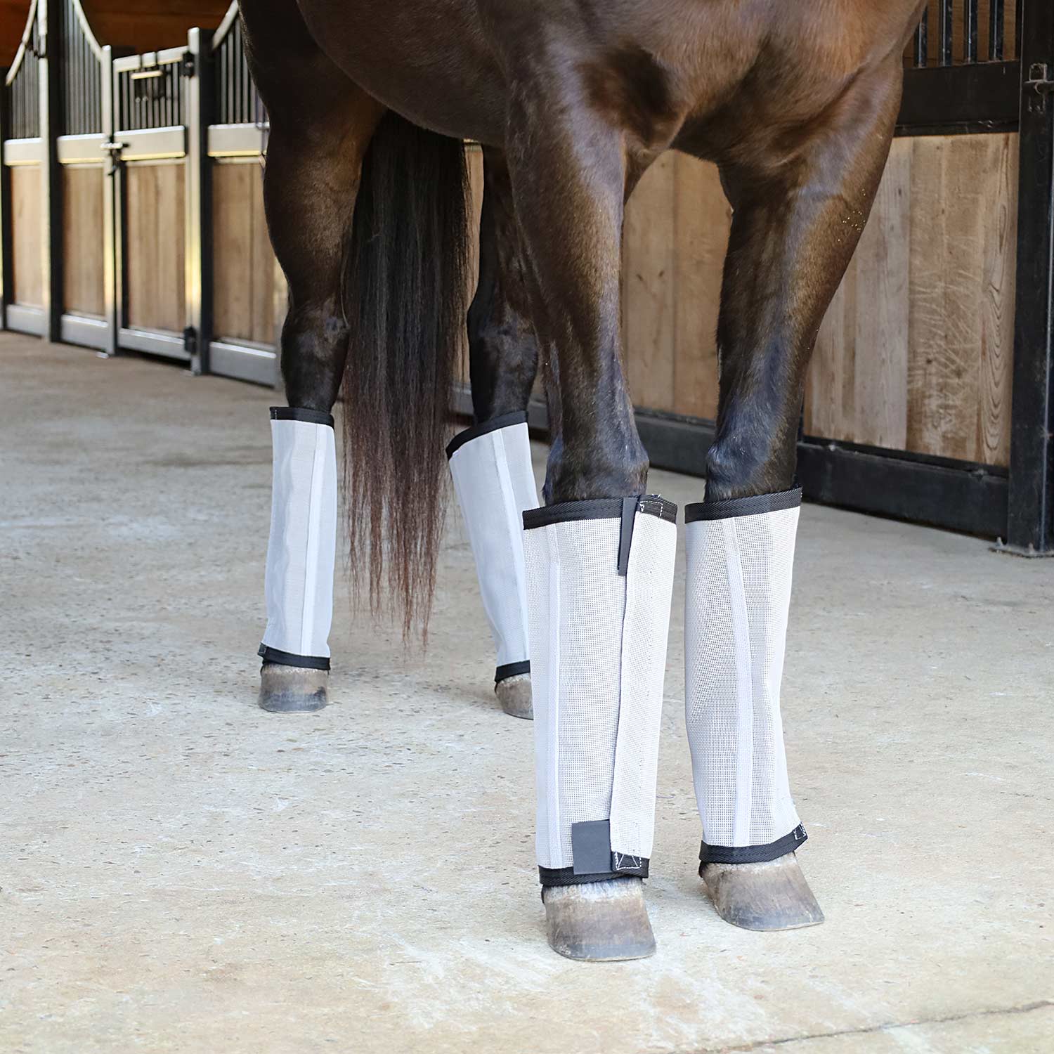 Jeffers Romper Stomper "Stomp-Free" Fly Boots for Horses, 4 pack - Image 11