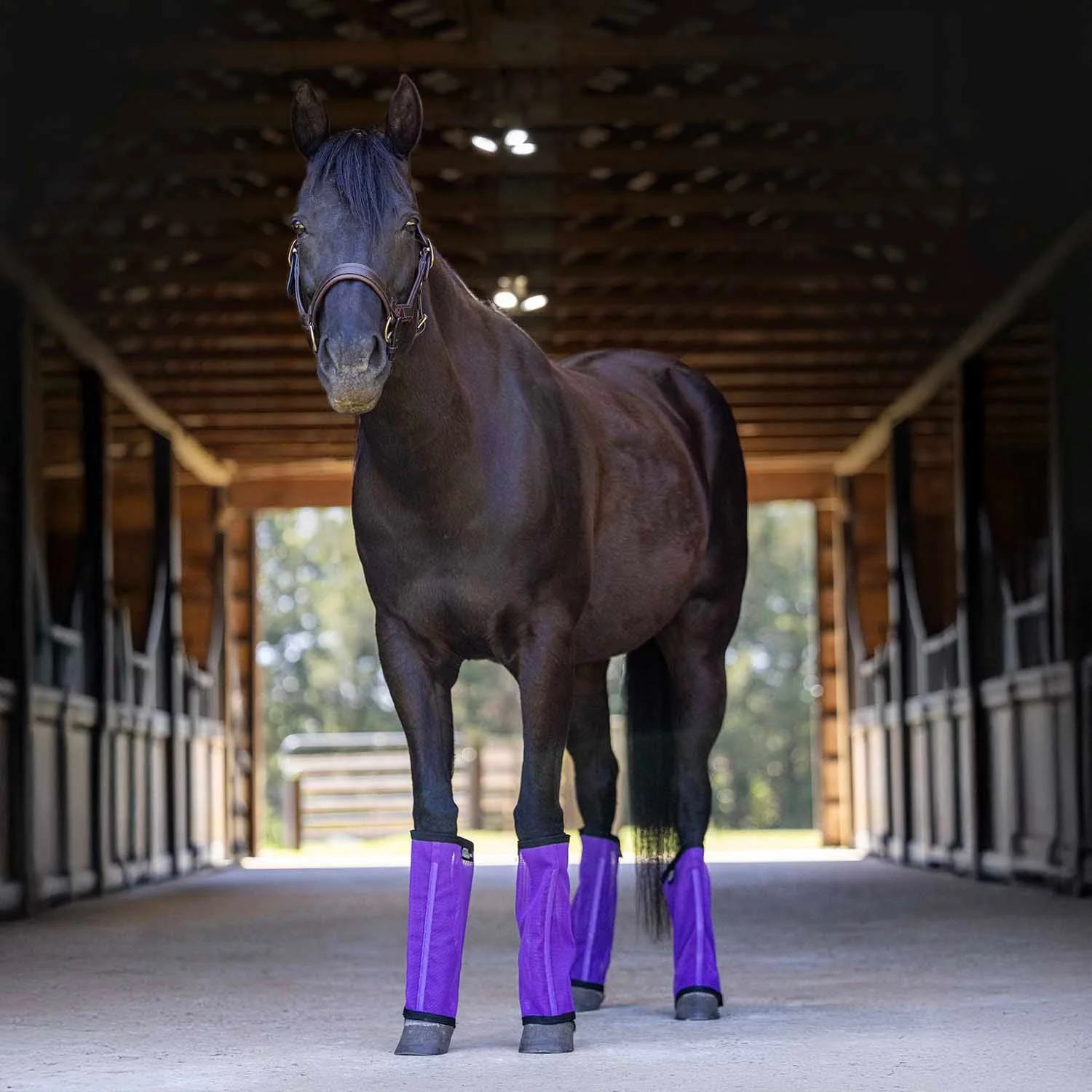 Jeffers Romper Stomper "Stomp-Free" Fly Boots for Horses, 4 pack - Image 29