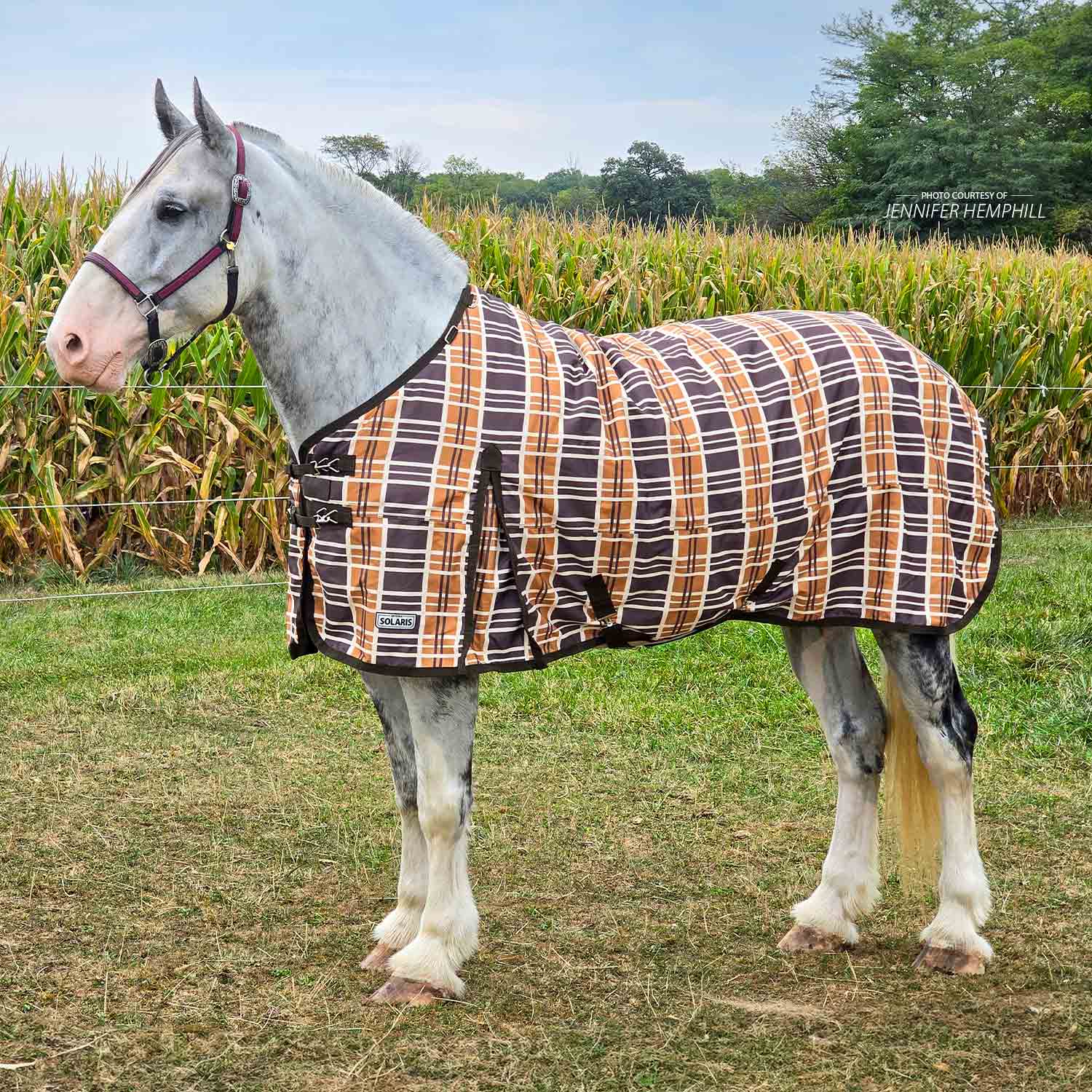 Jeffers Solaris 1200 Denier Draft Horse Turnout Blanket, 240g, Brown & Cream Plaid