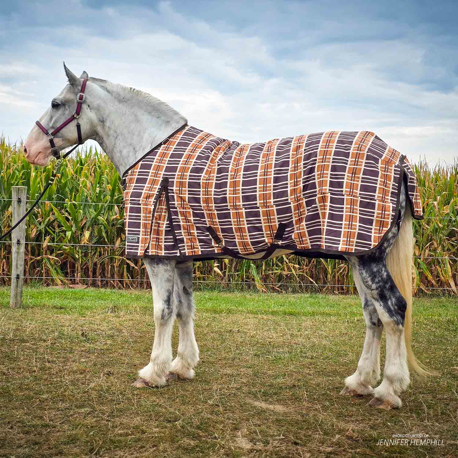 Jeffers Solaris 1200 Denier Draft Horse Turnout Blanket, 240g, Brown & Cream Plaid - Image 4