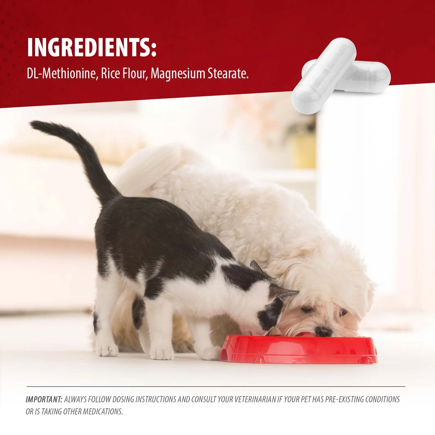Jeffers Uracid DL-Methionine 0.2g Capsules for Dogs & Cats – Supports Urinary Tract, Reduces Urine Odor, Prevents Stones - Image 5