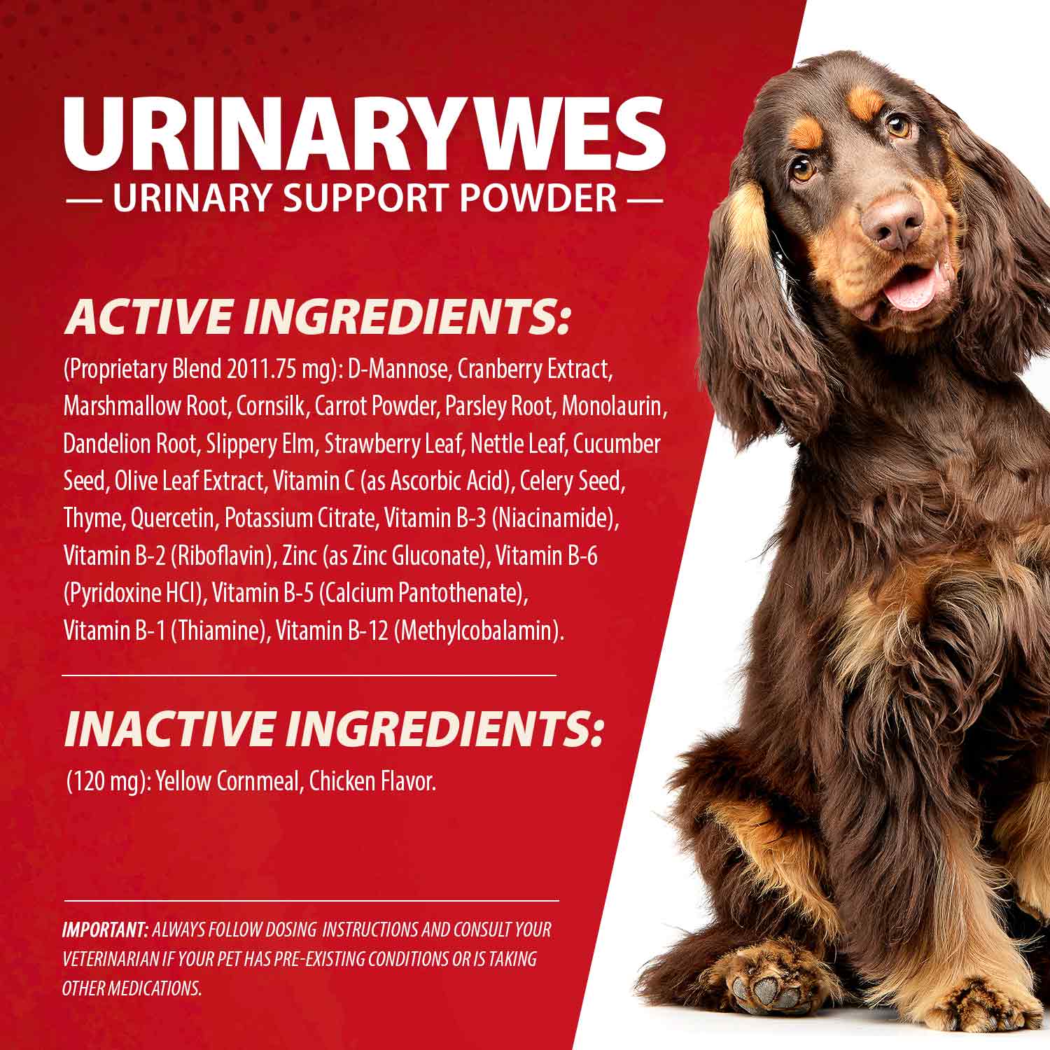 Jeffers UrinaryWes Urinary Support Powder with D-Mannose for Dogs & Cats - Image 7