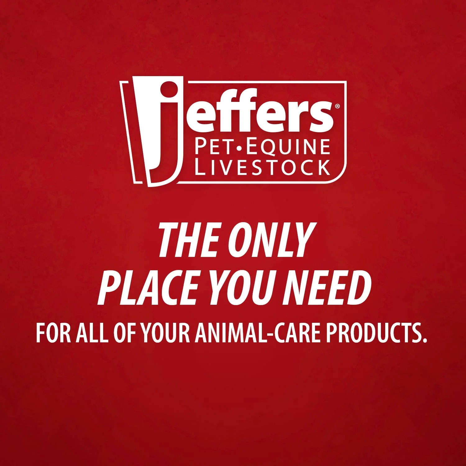 Jeffers Vita-Min Gel with Vit E & B12 for Cattle, Horses, Sheep, Goats & Swine - Image 17